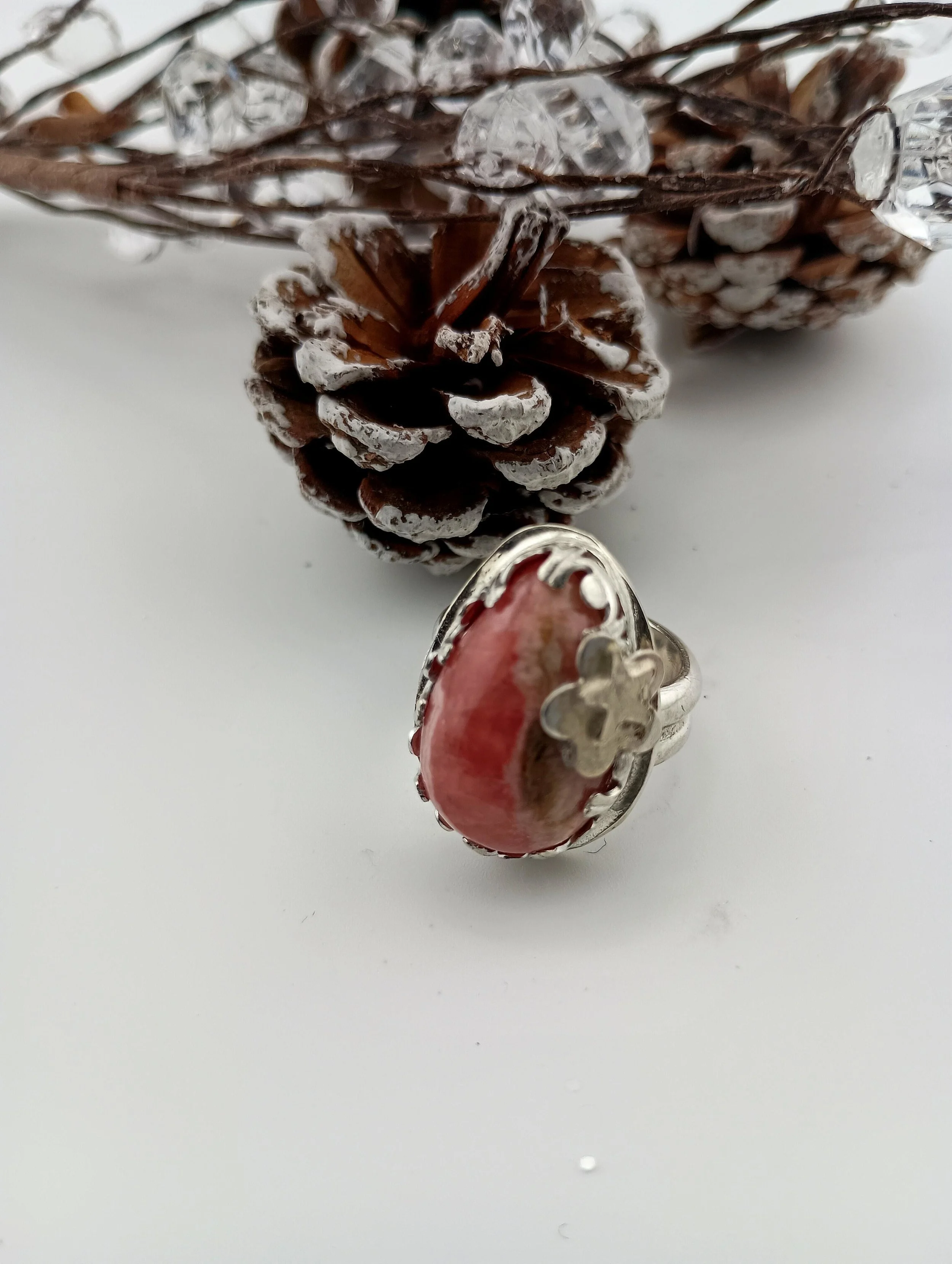 SGSR4 Frosted Pinecones.JPG