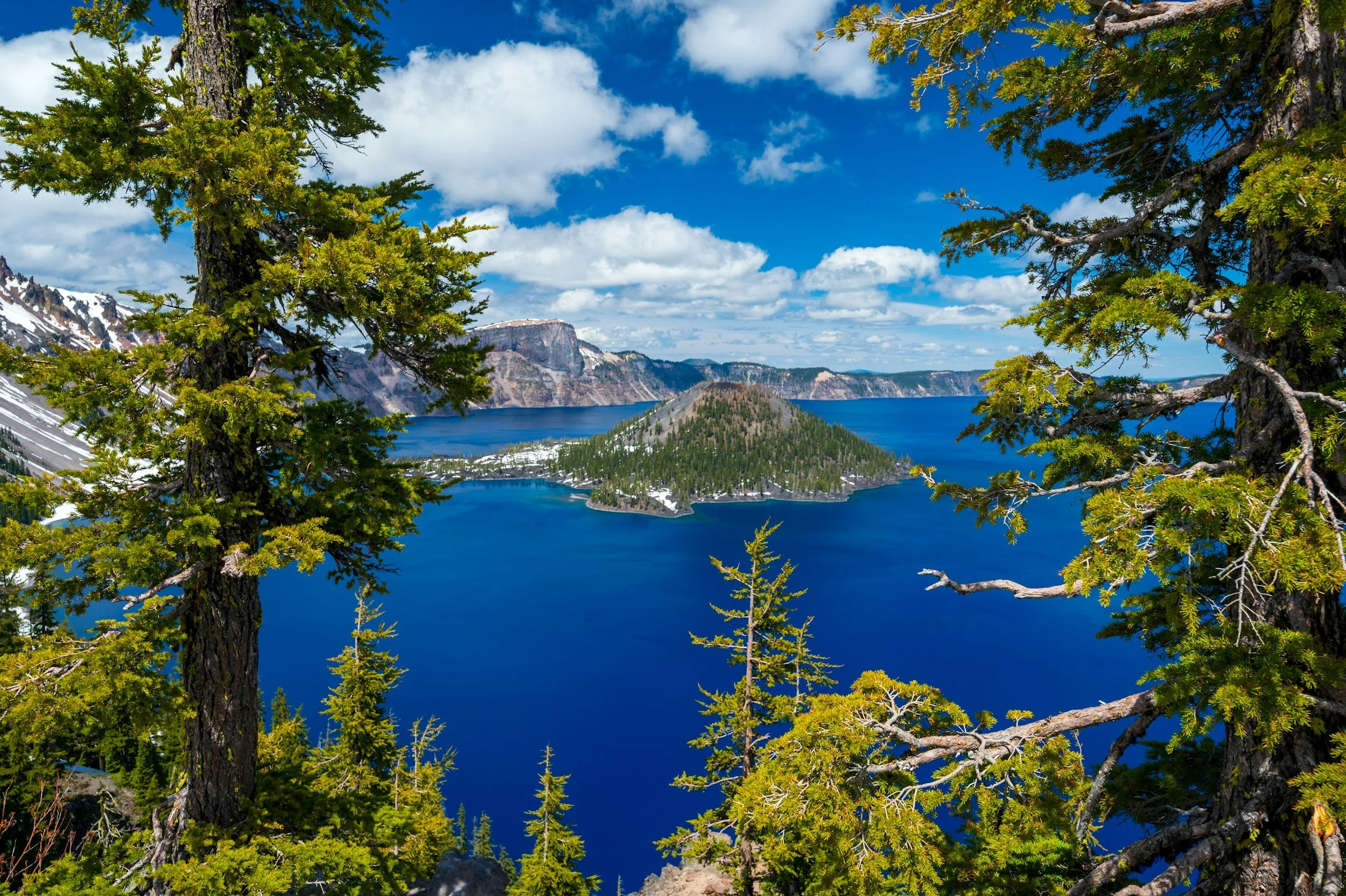 A scenic view of a large blue lake surrounded by forested mountains with patches of snow, seen through the branches of tall evergreen trees. The sky is partly cloudy.