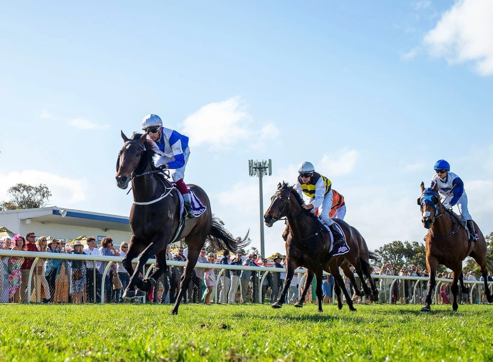 Horse race with multiple horses and jockeys racing on a green turf track, spectators watching from the side, and a starting gate in the background.