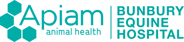 Logo of Apiam Animal Health and Bunbury Equine Hospital with teal hexagons and text