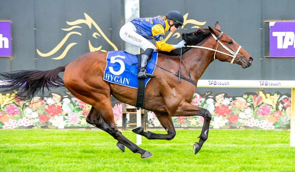 A jockey riding a brown racehorse on a grass track during a horse race.