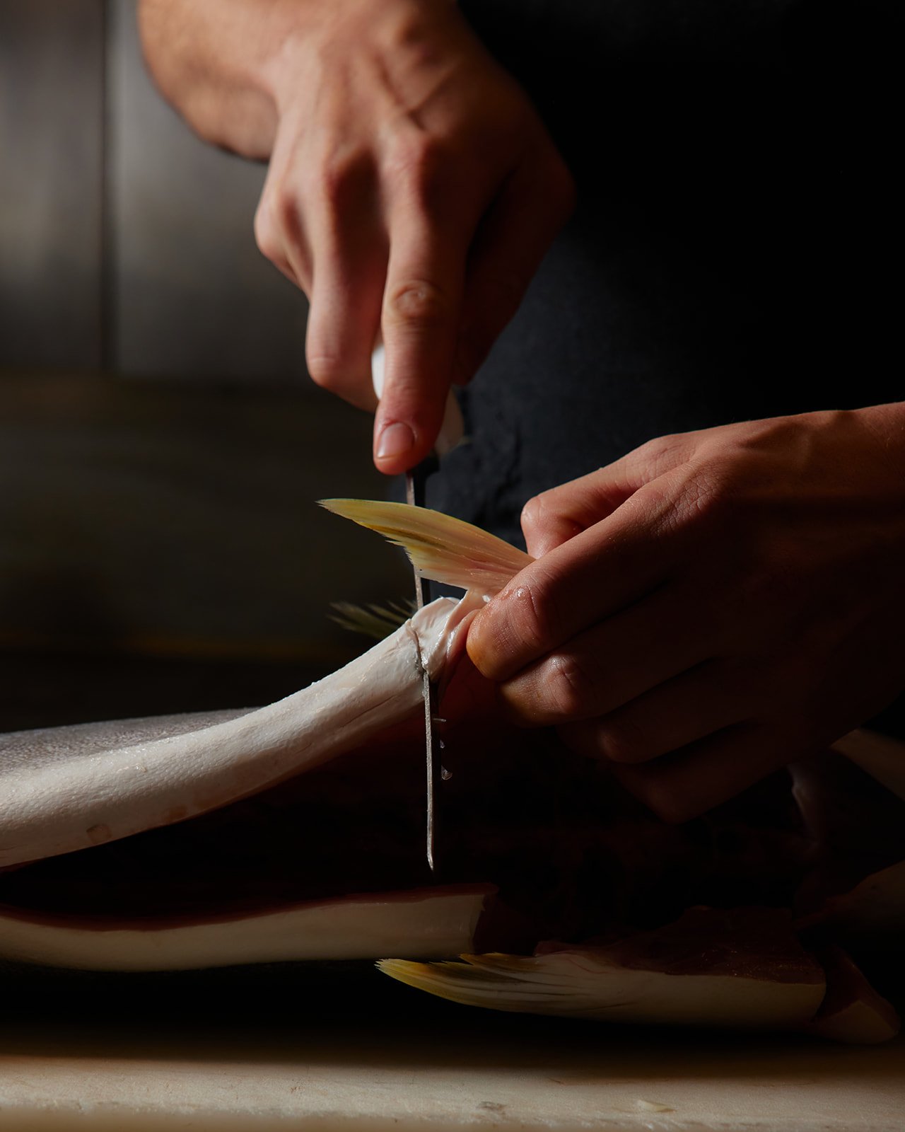 Therecreation_hdavison6216 1.jpg