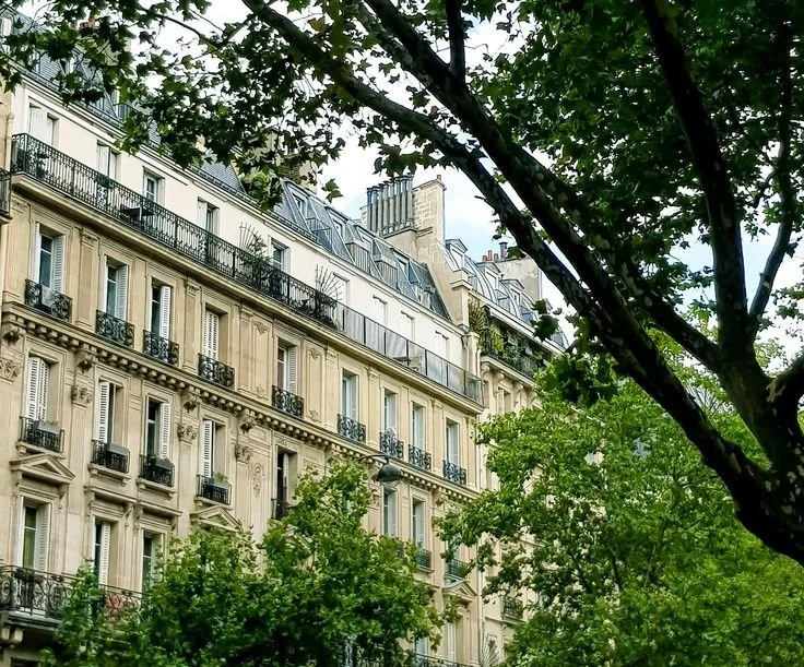 Lumière naturelle- Paris