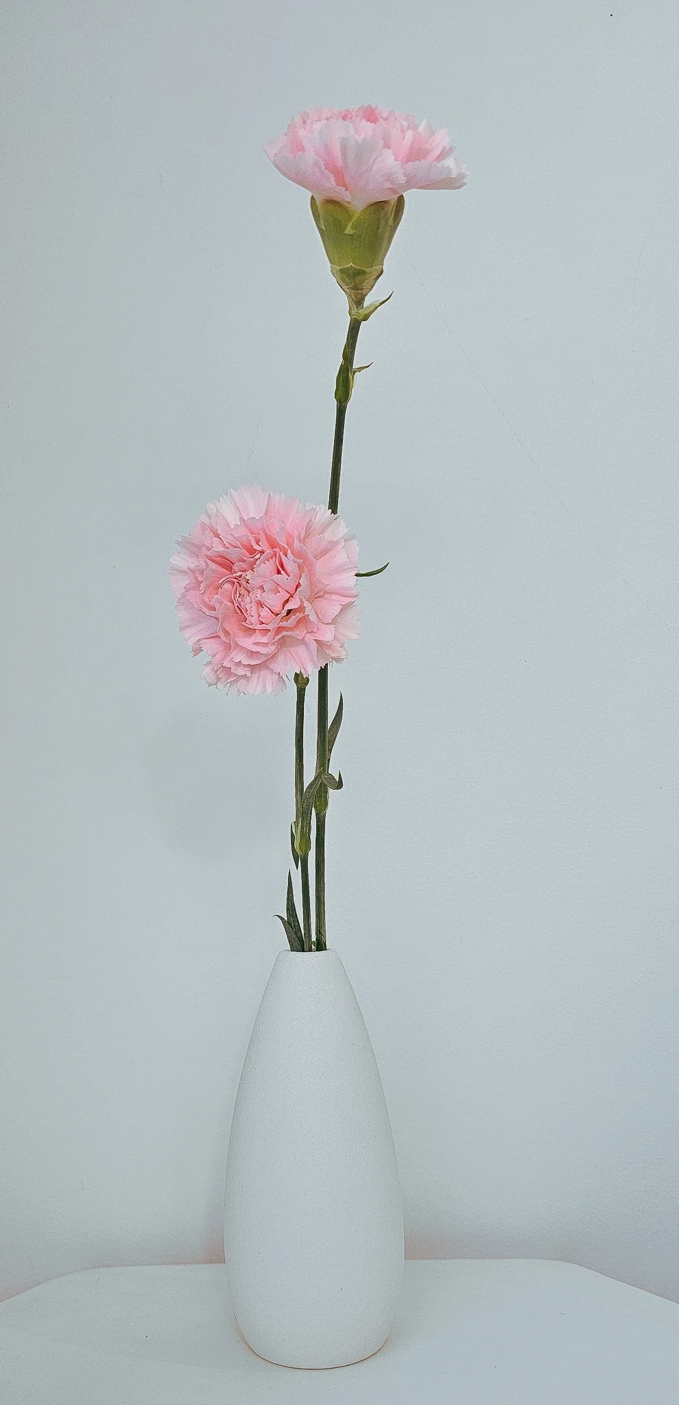 Fleurs