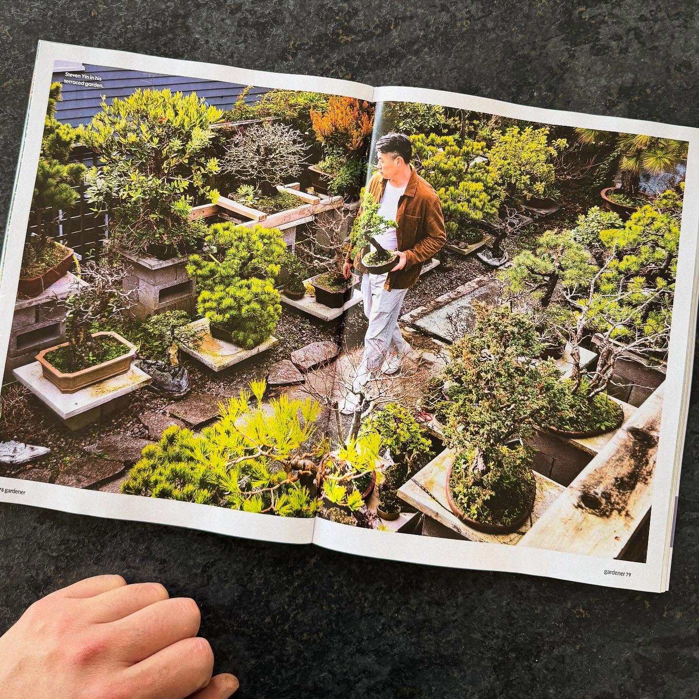 A man carrying a potted plant on a rooftop garden with various potted trees and shrubs.