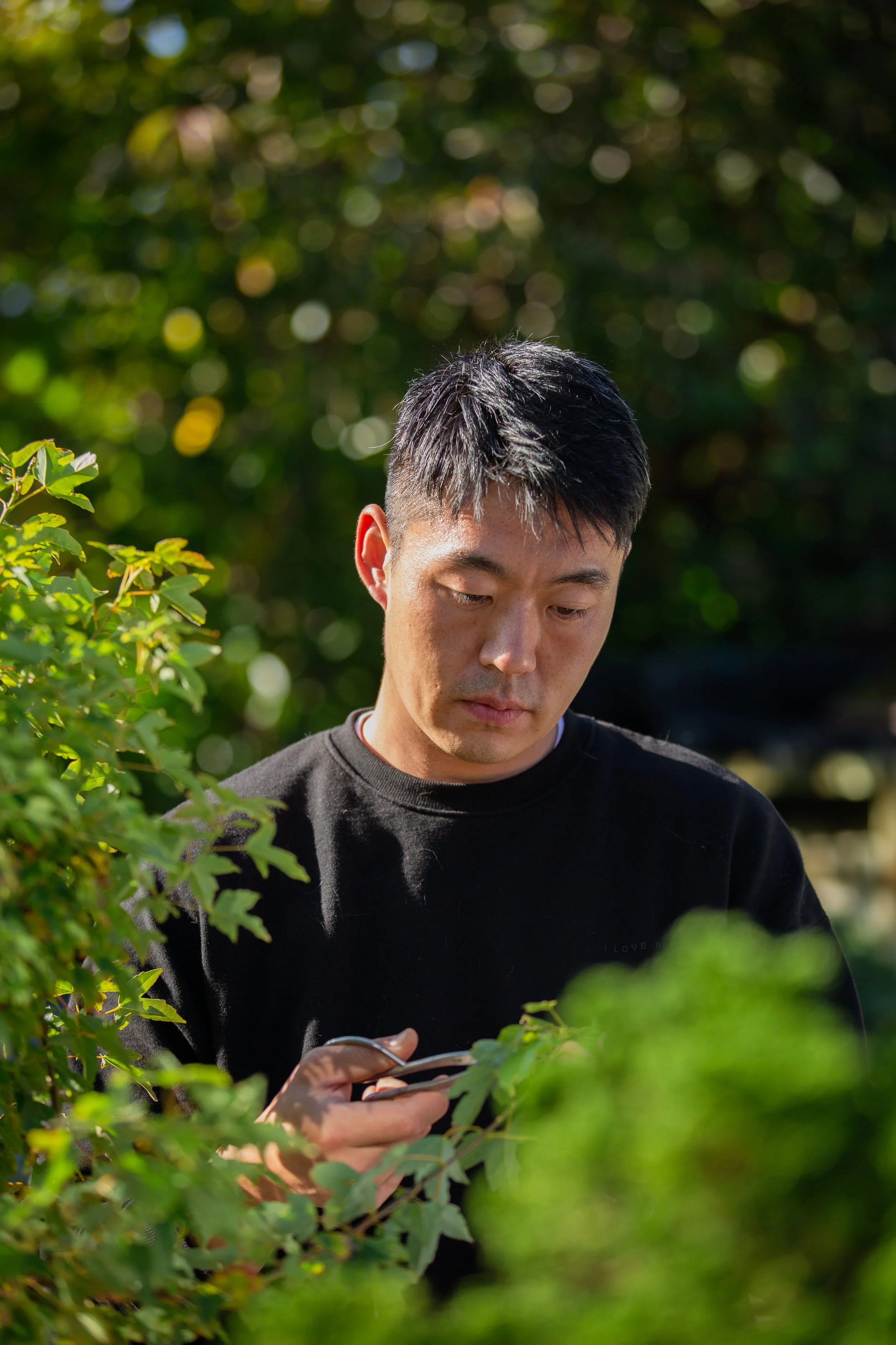 A young man with short black hair looking down at his phone while outdoors among green bushes and trees.