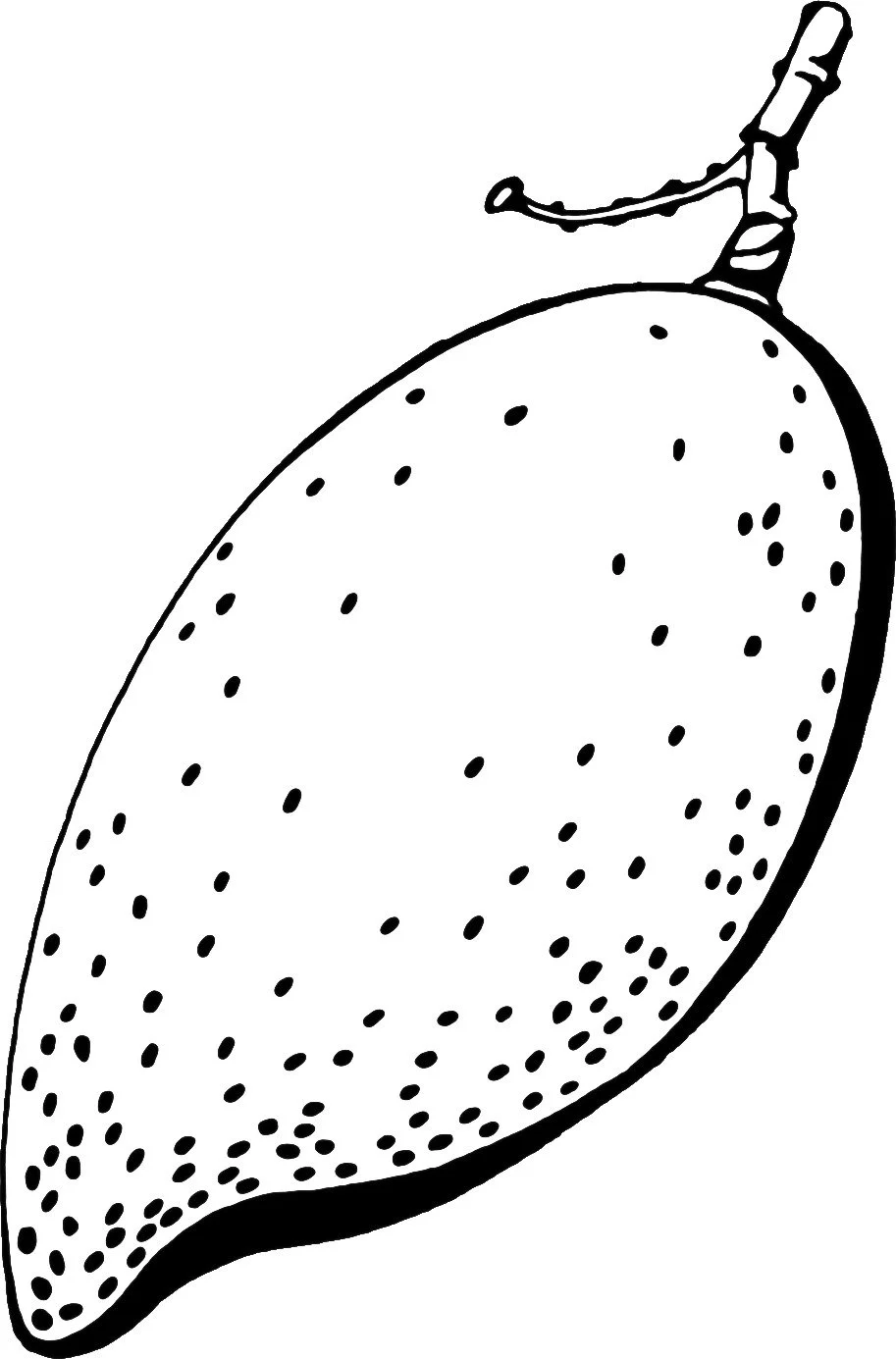 Black and white drawing of a lemon with a small stem on top.