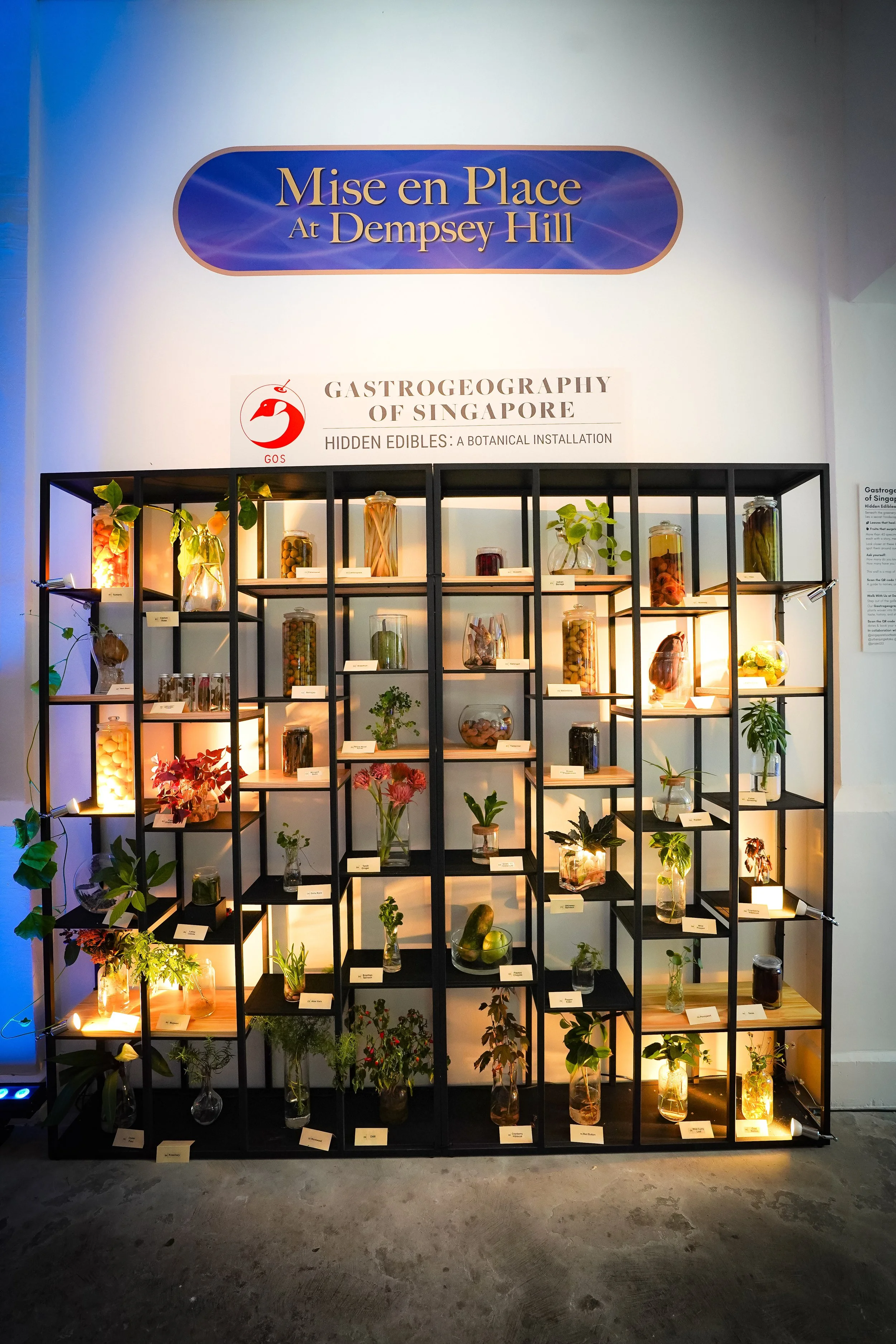 A display of glass jars with various plants and edible items, part of an exhibit titled 'Gastrogeography of Singapore: Hidden Edibles - A Botanical Installation' at Dempsey Hill.