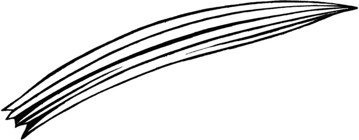 Multiple black curved lines on a white background.