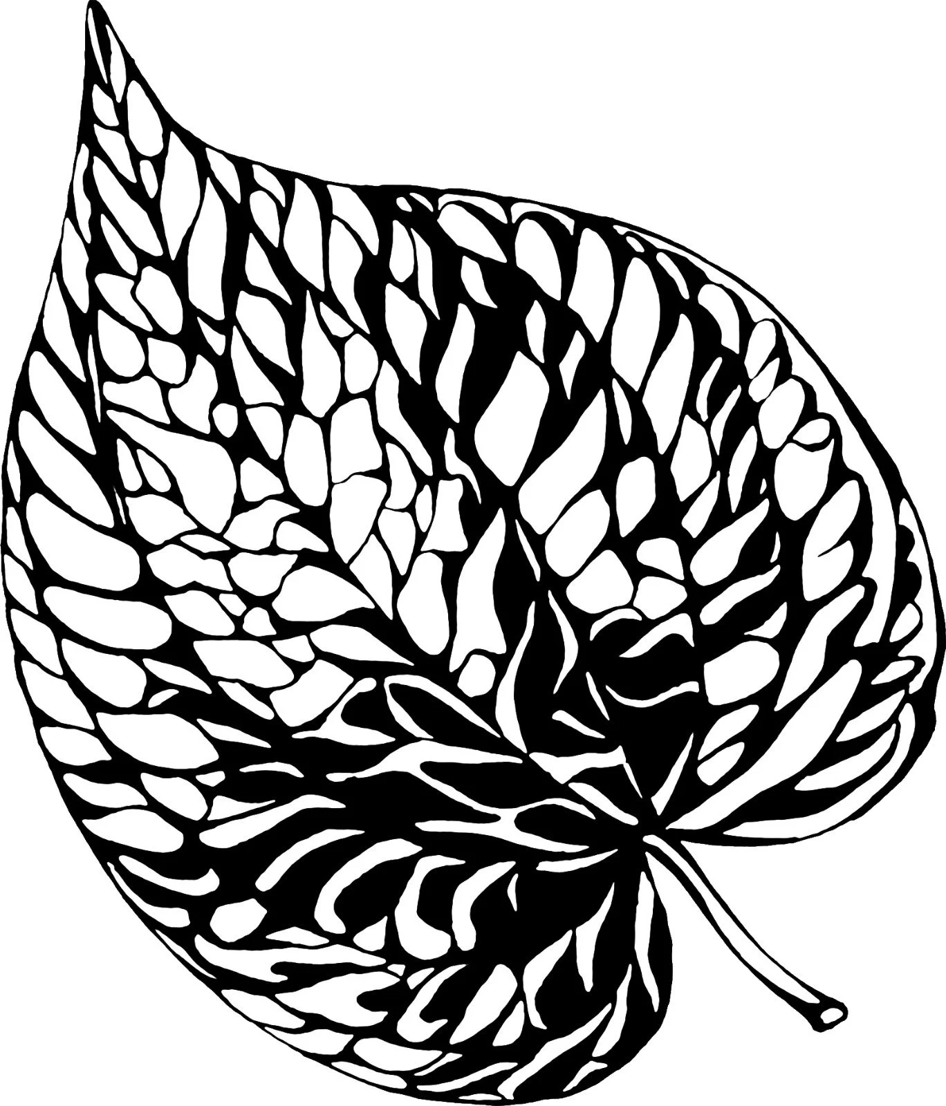 Line drawing of a butterfly wing with intricate patterns.