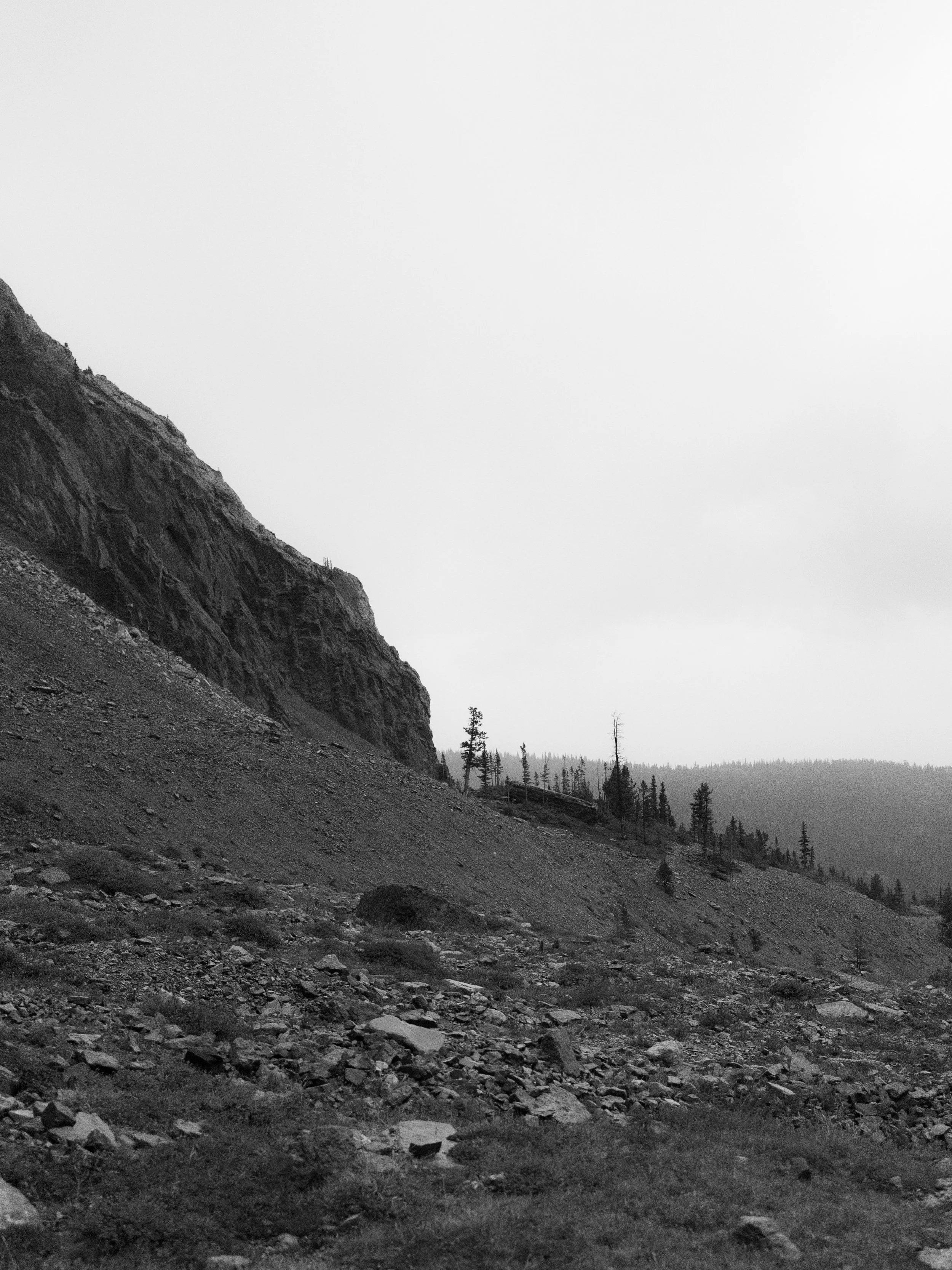 FD3B5184-73D8-471B-841C-A56E4D10DE07.jpeg