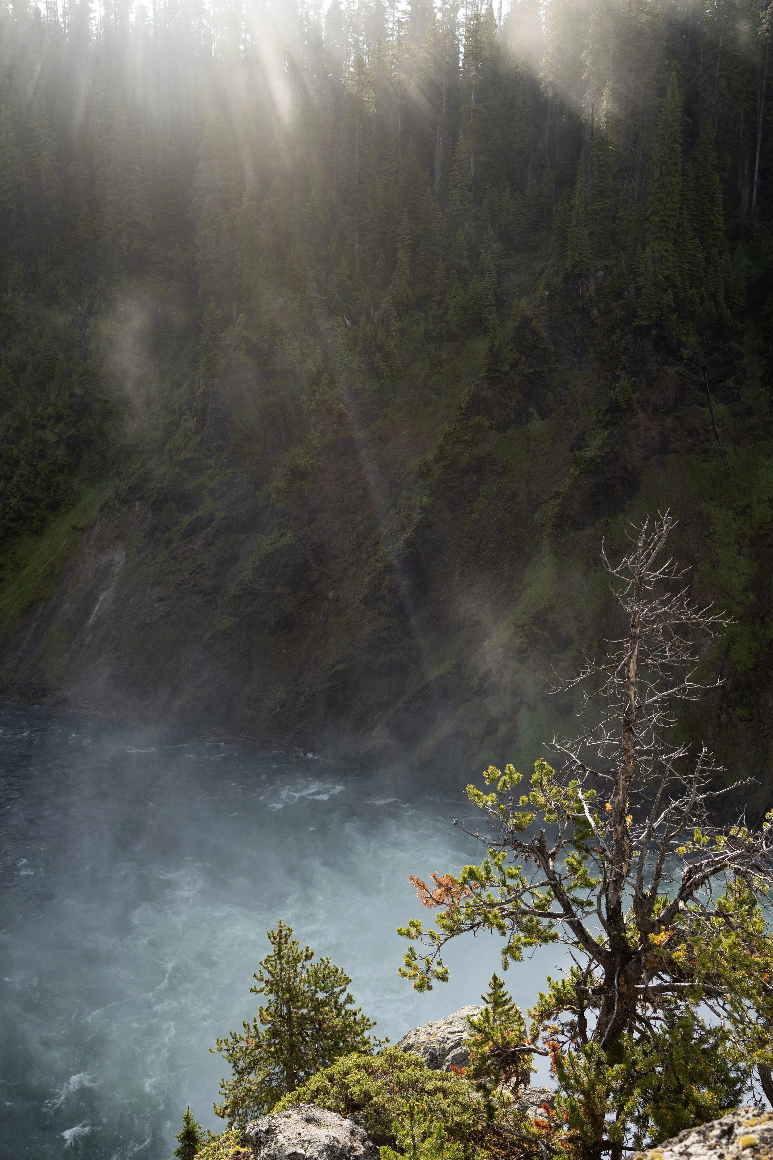 yellowstone-17.jpeg