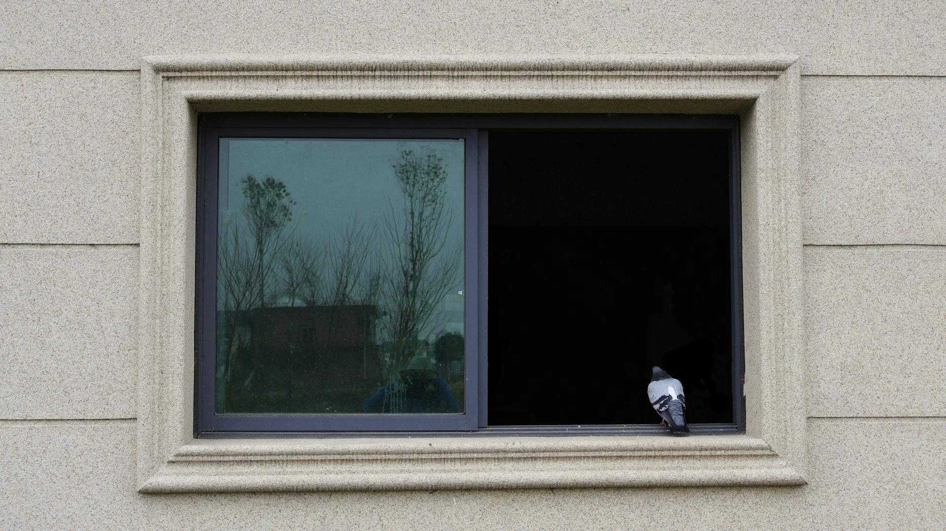 Designing Seamless Indoor–Outdoor Living with Sliding Windows in Geelong