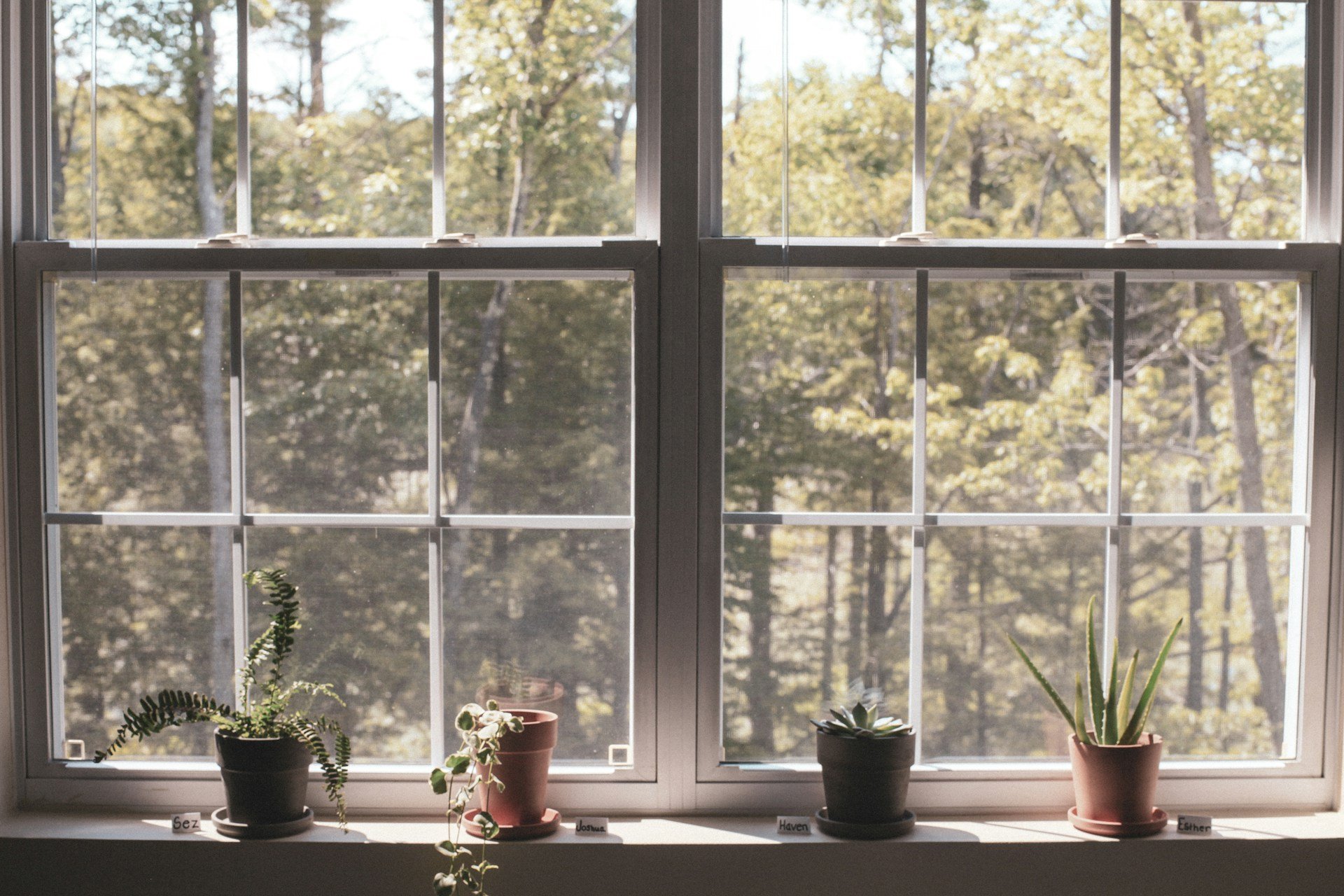Window Problems in Geelong: Drafts, Condensation, Salt Corrosion, Fixes