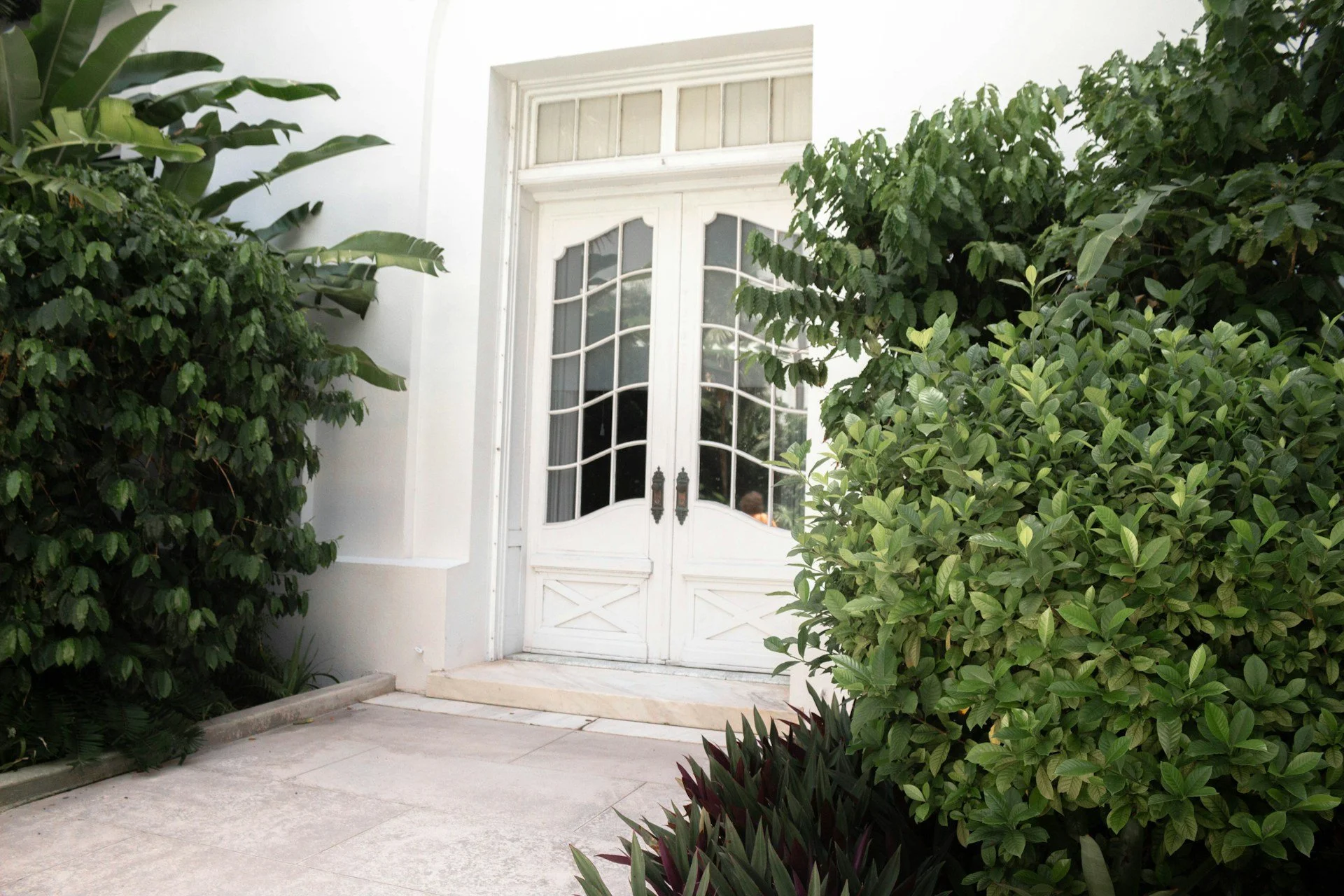 Rethinking French Doors Geelong Homes Use for Coastal Ventilation