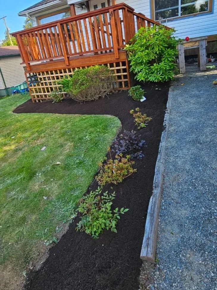 Garden bed with newly planted shrubs and small plants, mulch covering soil, next to a green lawn, gravel pathway, and a wooden deck attached to a house.