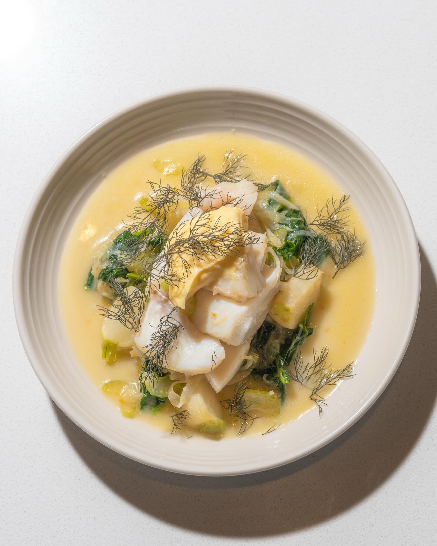 I feel like broke through a plateau in my editing tonight with Lightroom Cloud.  Color calibration and color grading made more sense after a tutorial that explained the top settings panel is for recovering information and the bottom panels are for st