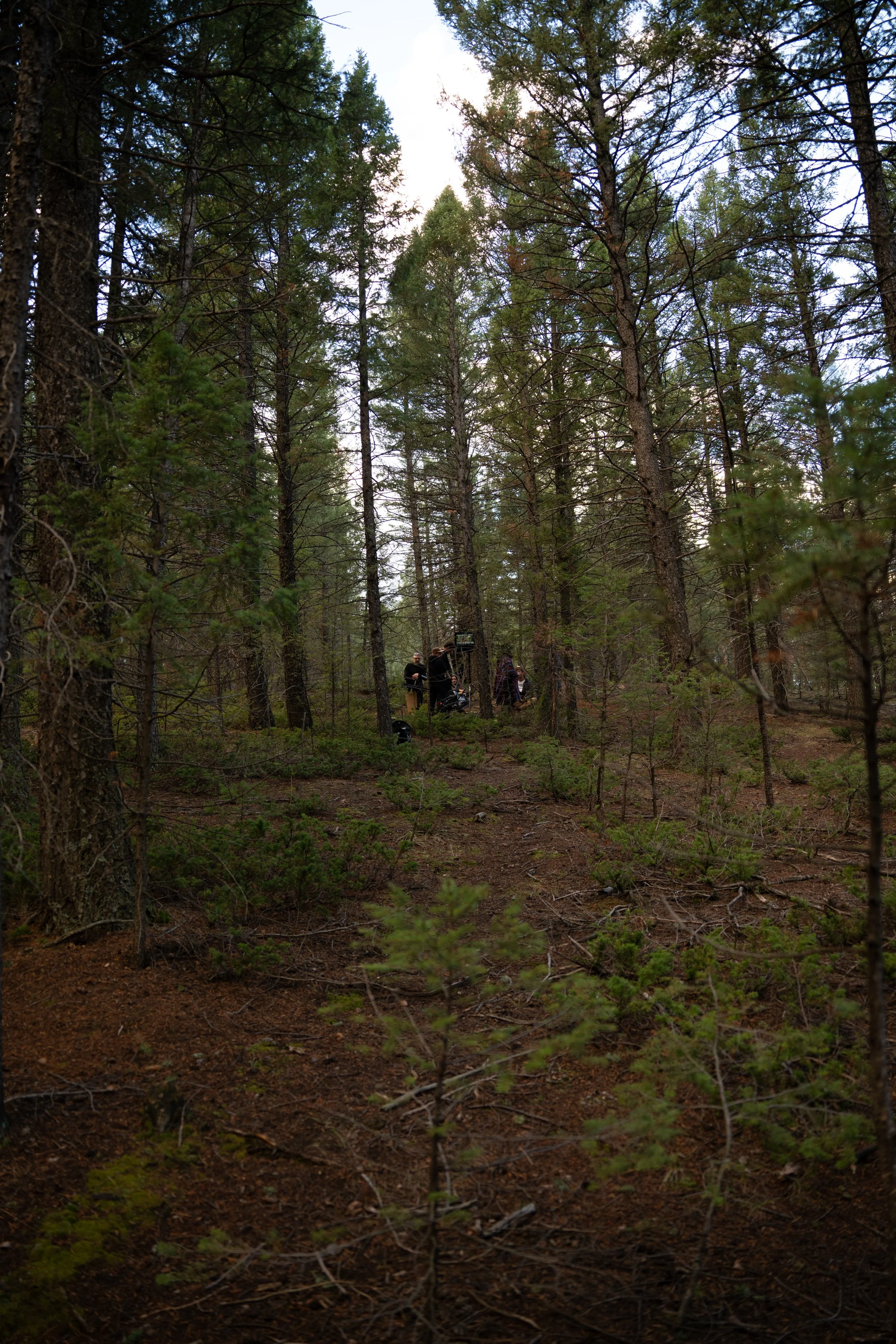 DSC00453-1.jpg