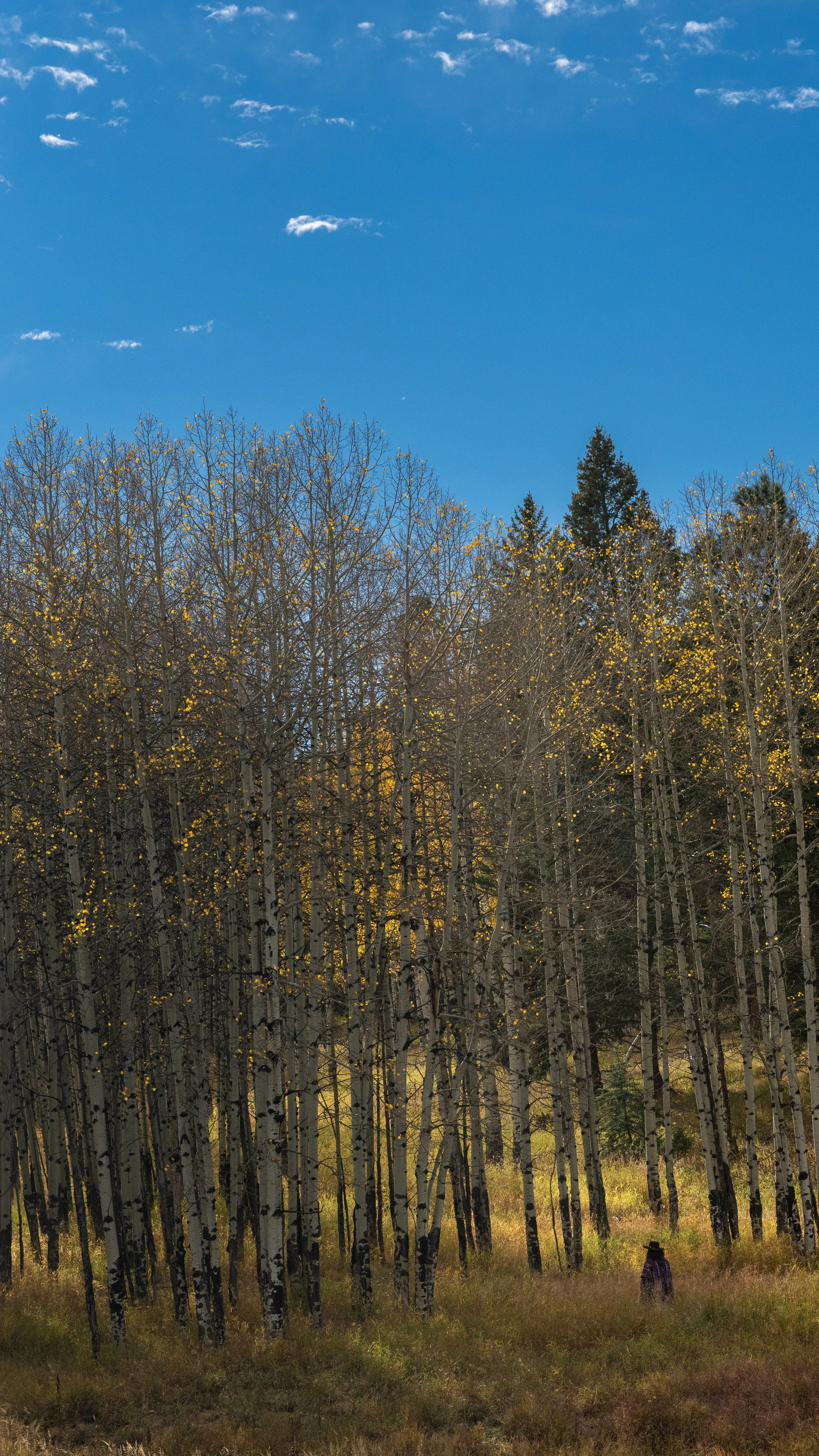 DSC00071-3.jpg