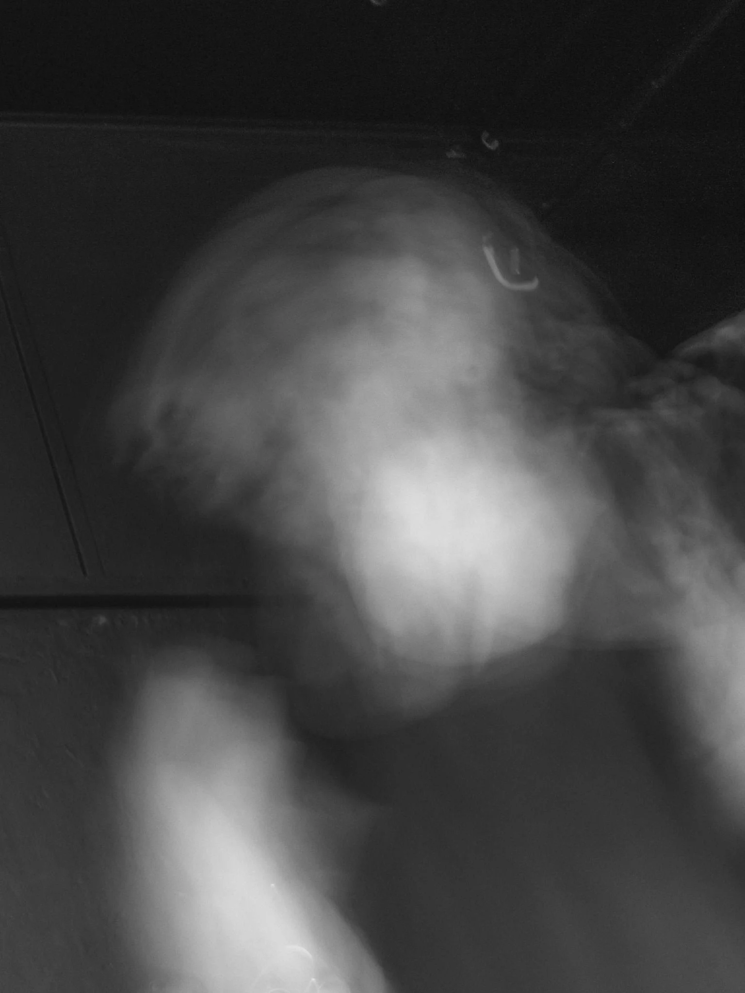 DSC09217.jpg