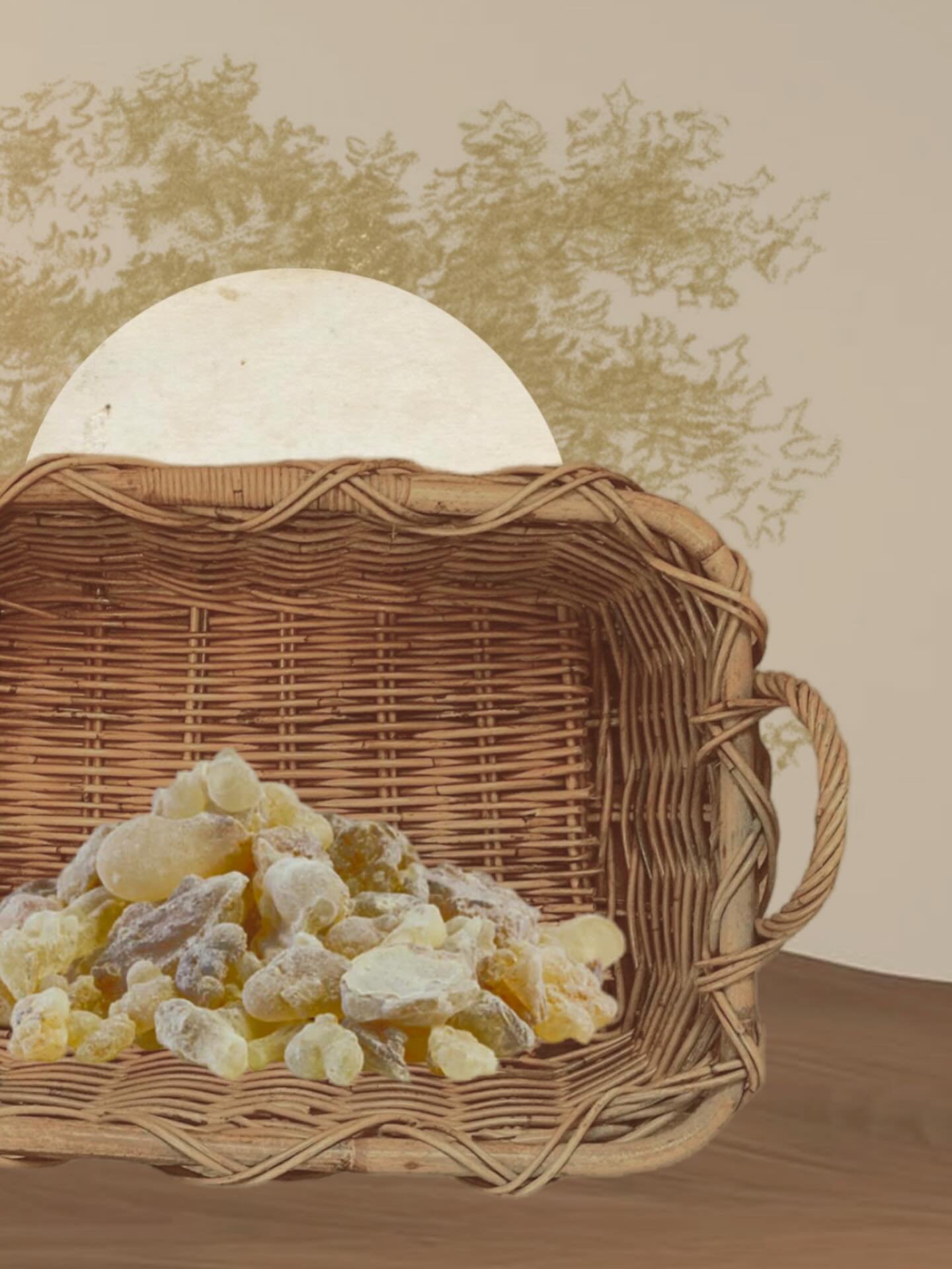 Sacra Carterii brings the art of soft living to life through the sacred essence of frankincense &mdash; the same resin once offered to kings and temples. 

Each product is designed to create moments of calm luxury, transforming bathrooms into sanctua