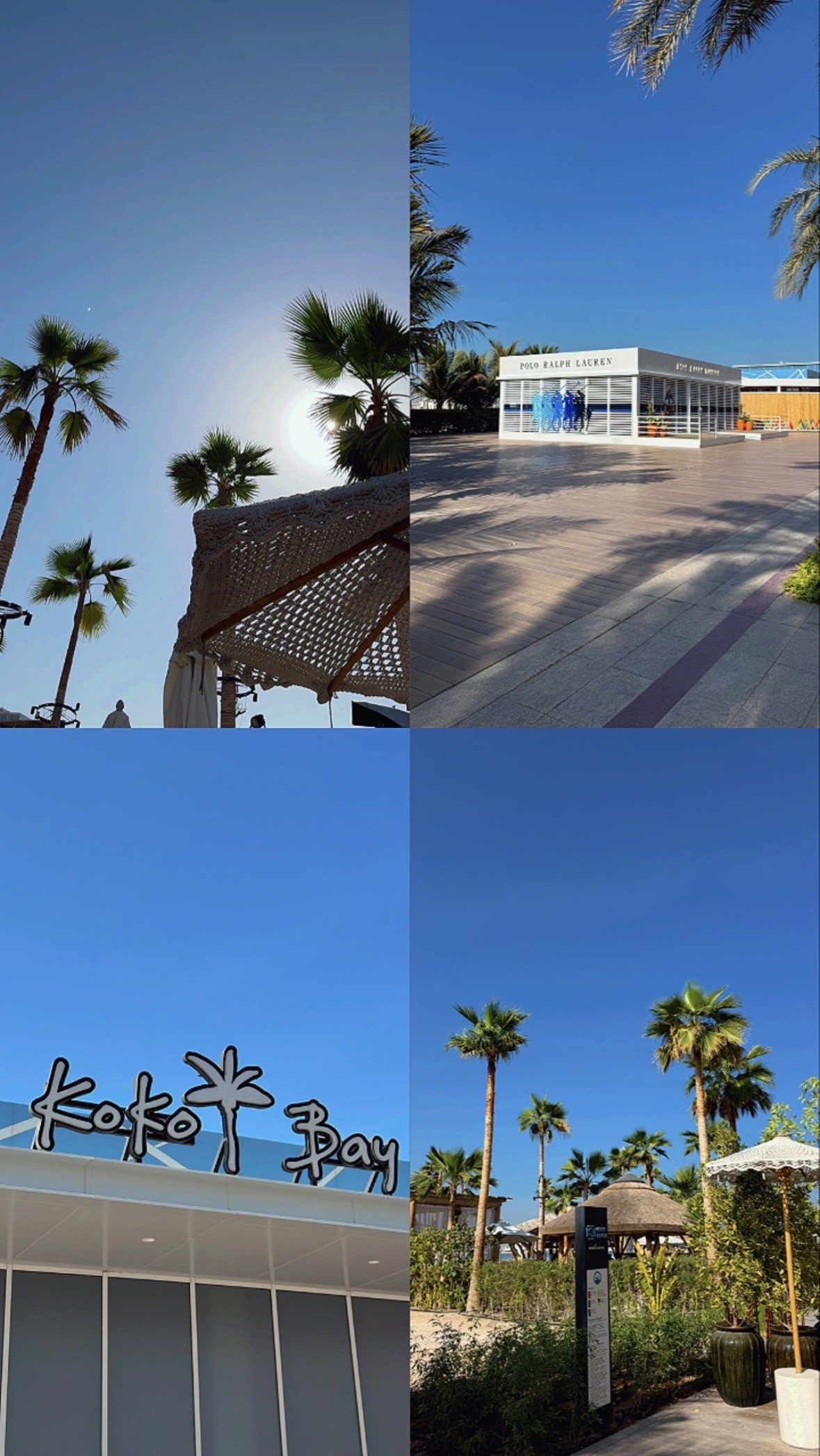  weekend sunny day strolls! (gotta enjoy it while it last) 