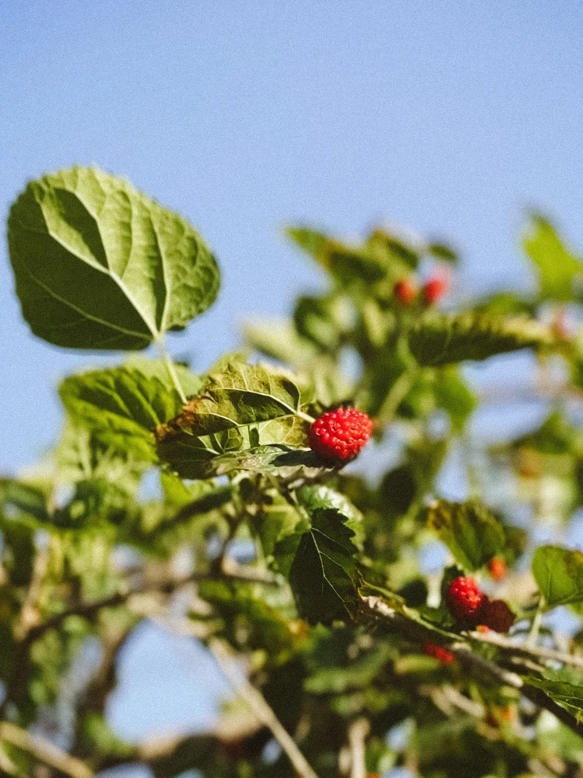 Purposeful Places: From Scroll to the Soulful