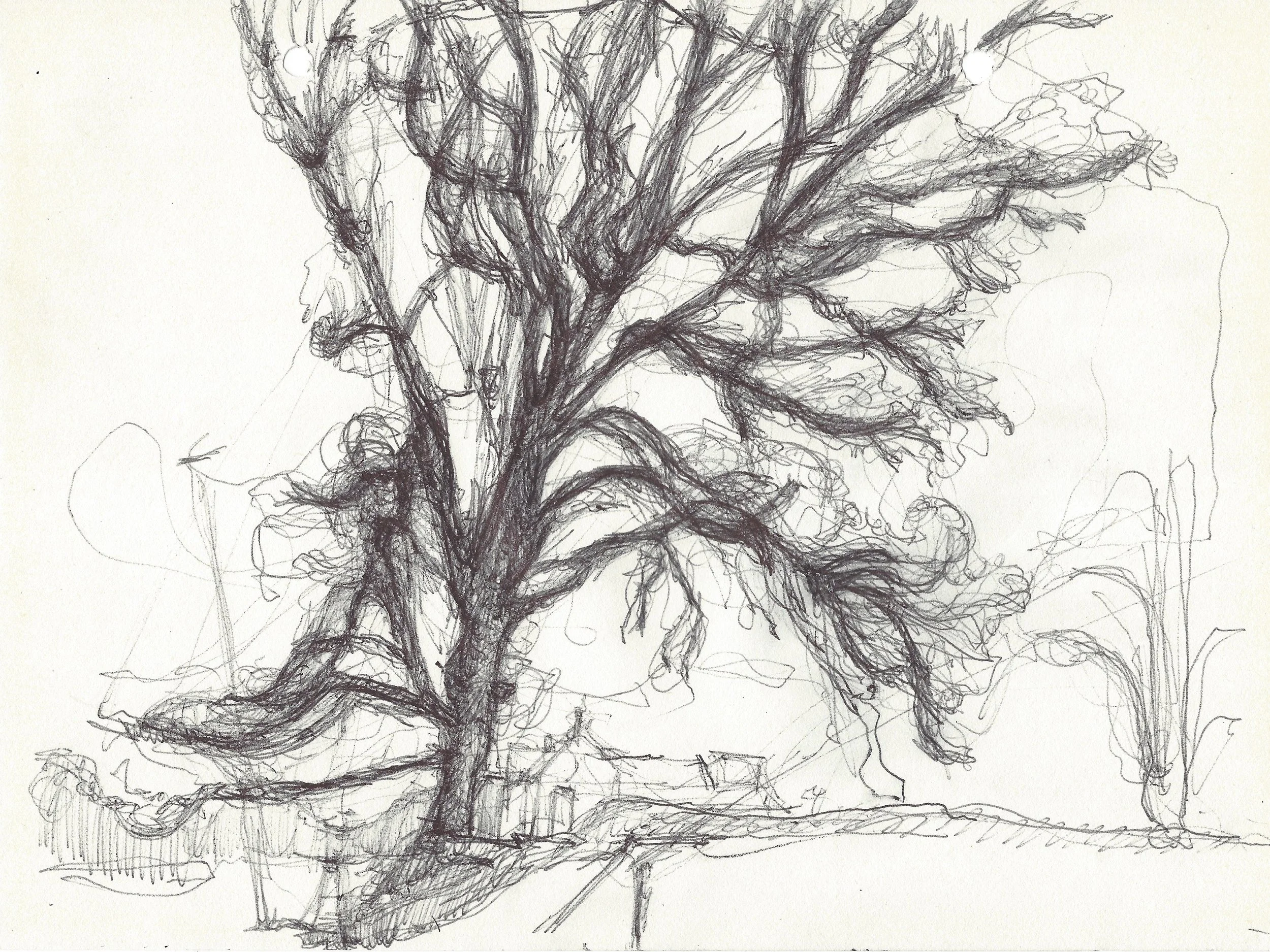 At St. Louis, 2025, ink on paper, 11''x8''