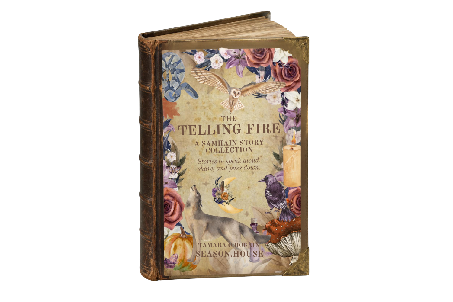 Samhain Story Collection Mockup.png