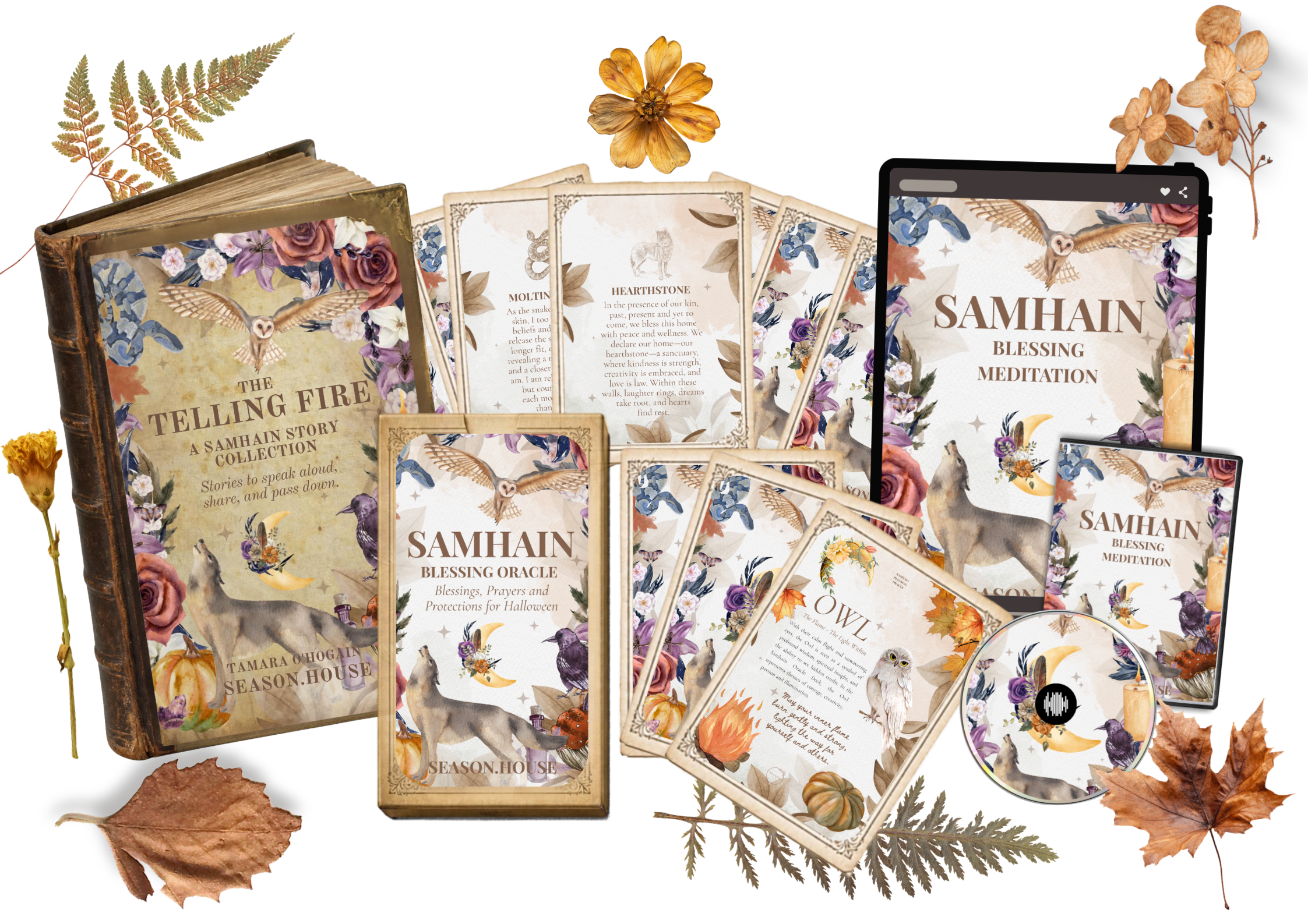 Samhain landing page cover_transparent background.png
