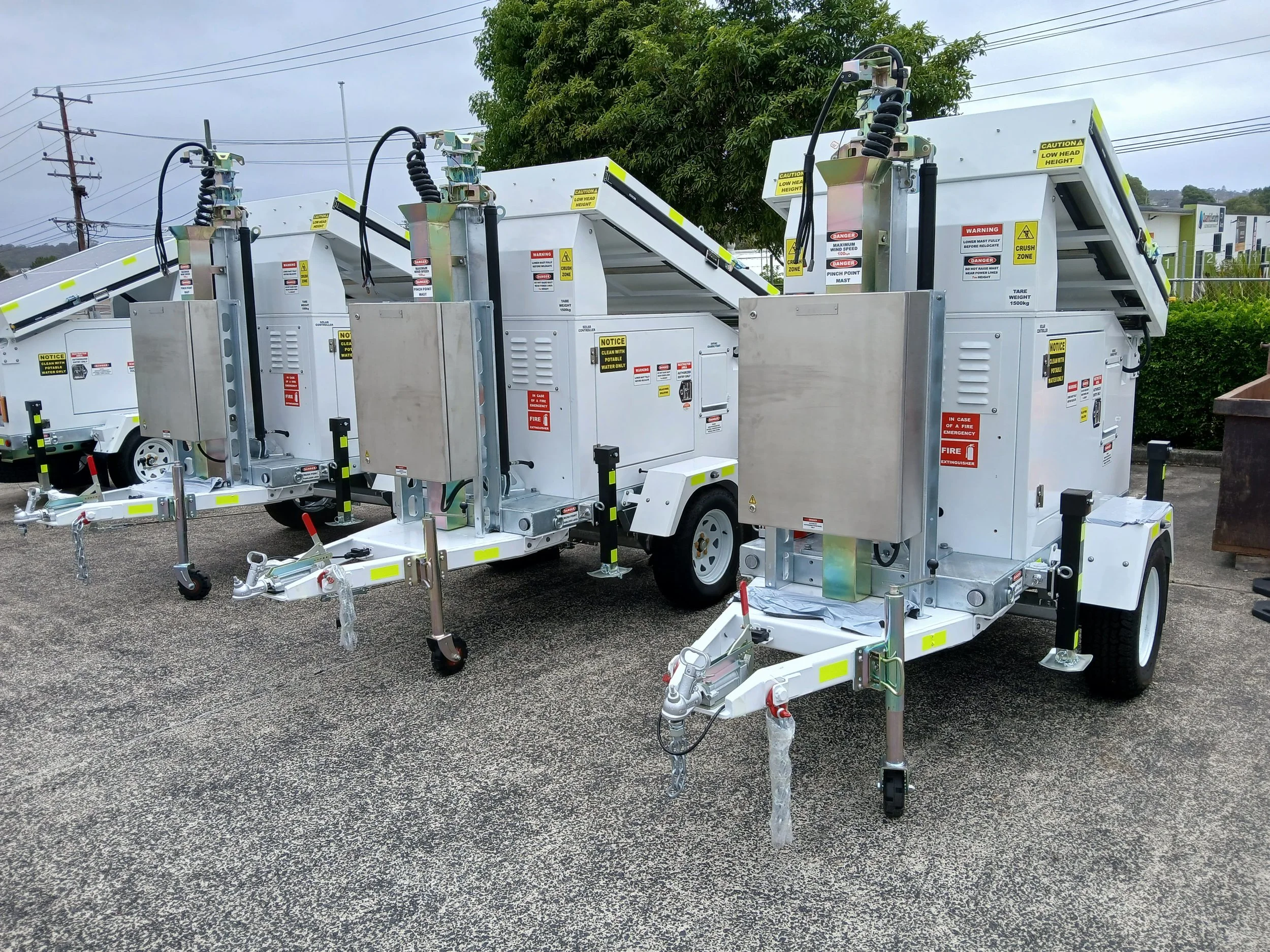 1000003864 phoenix.jpg