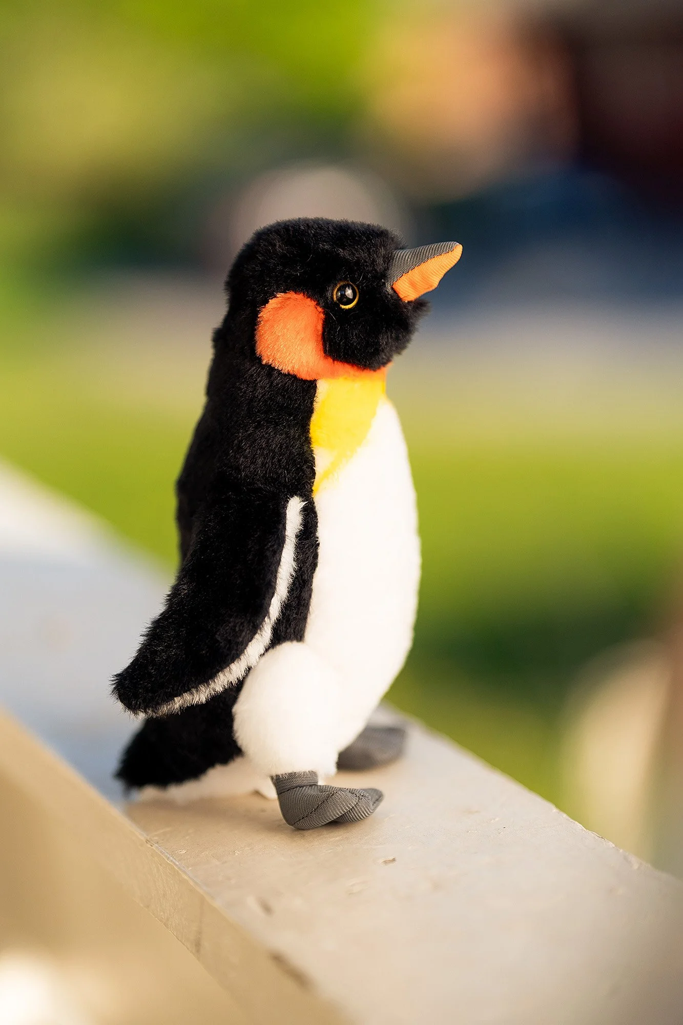 56108_06.jpg