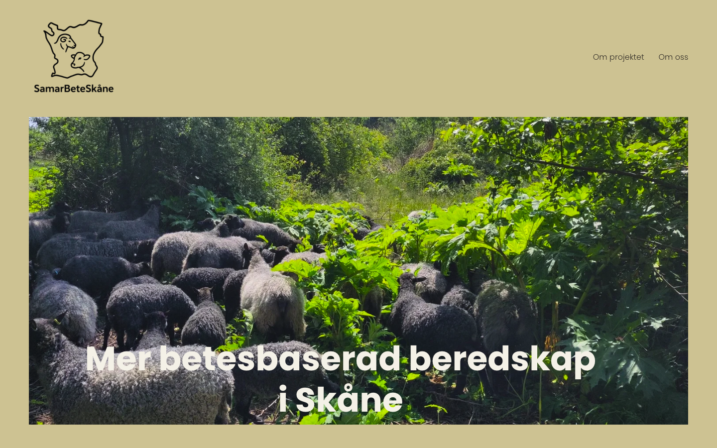 Hemsidan är live!