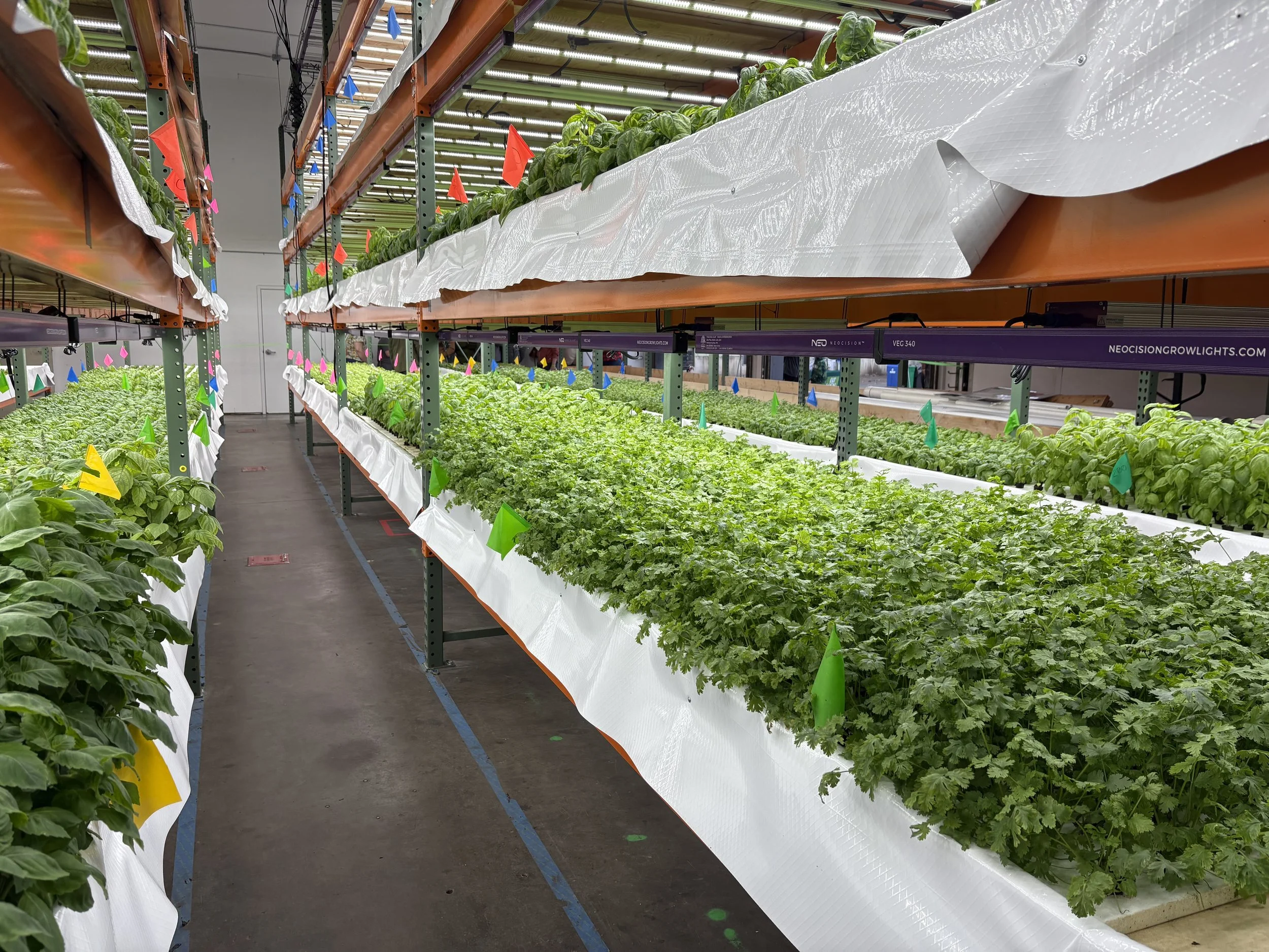 Urban aquaponics farm brings sustainable food to the heart of Bellingham