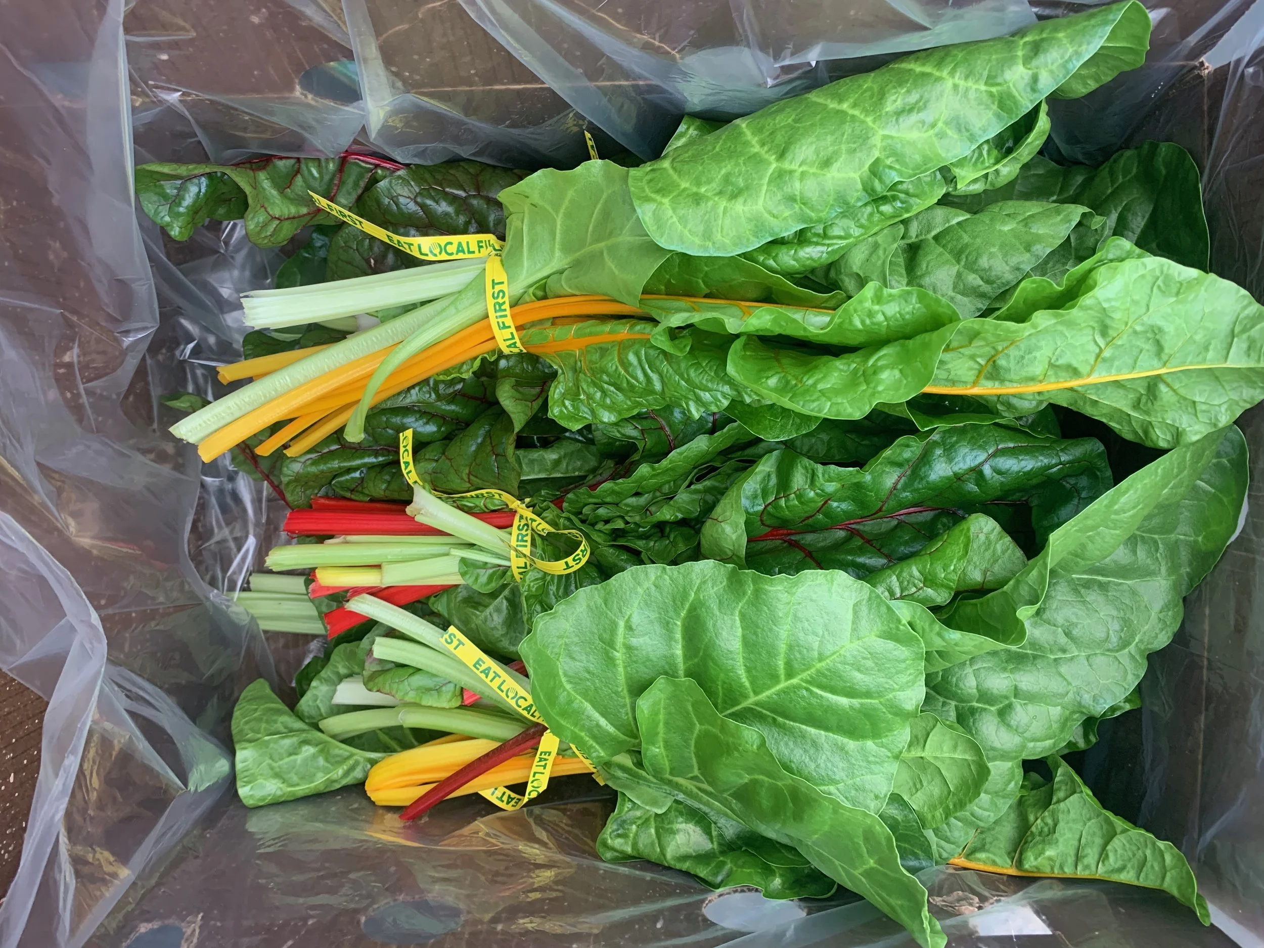 chard bundles.jpeg