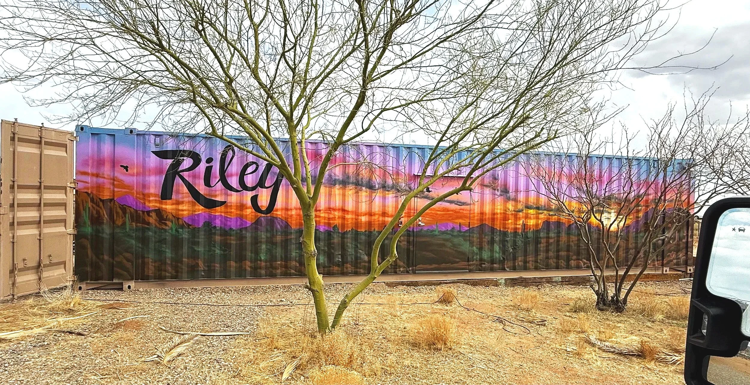 residential-murals-jade-bamford-02.jpg.jpg