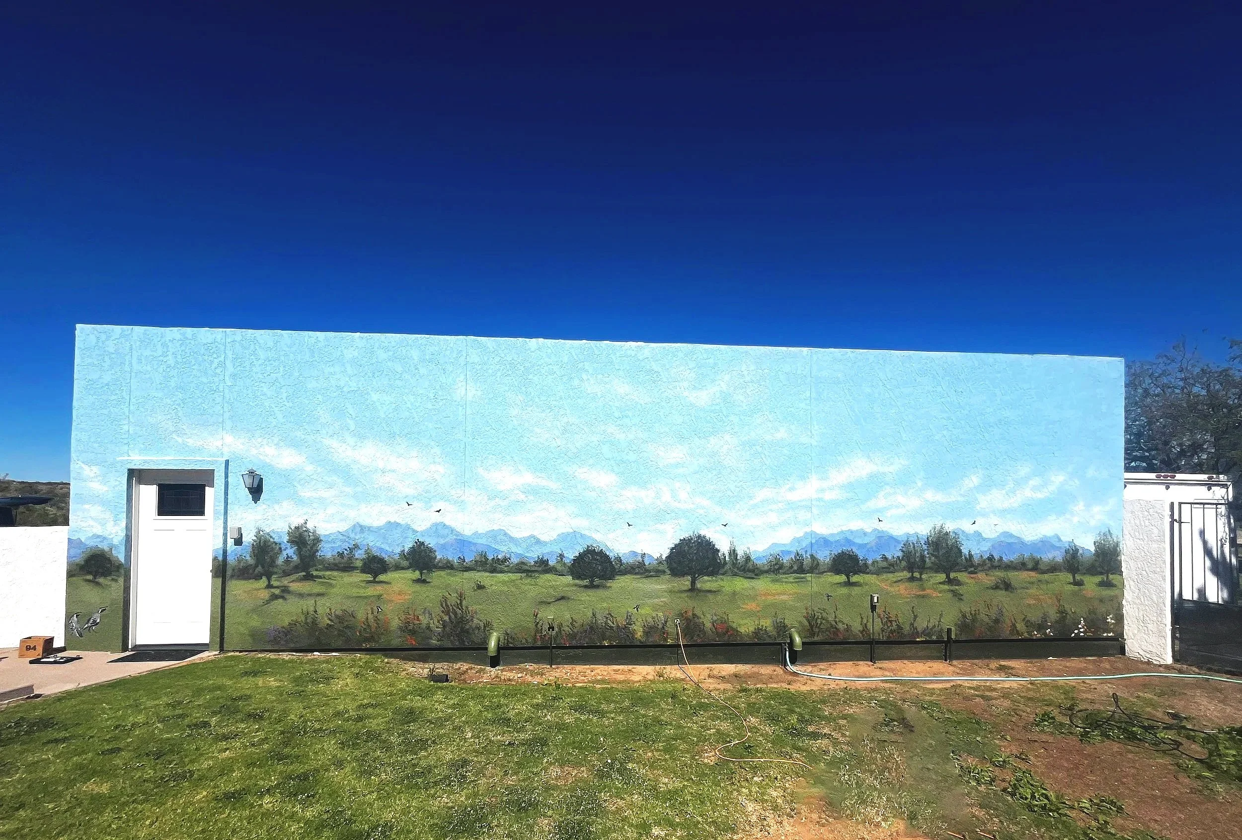 residential-murals-jade-bamford-01.1.jpg