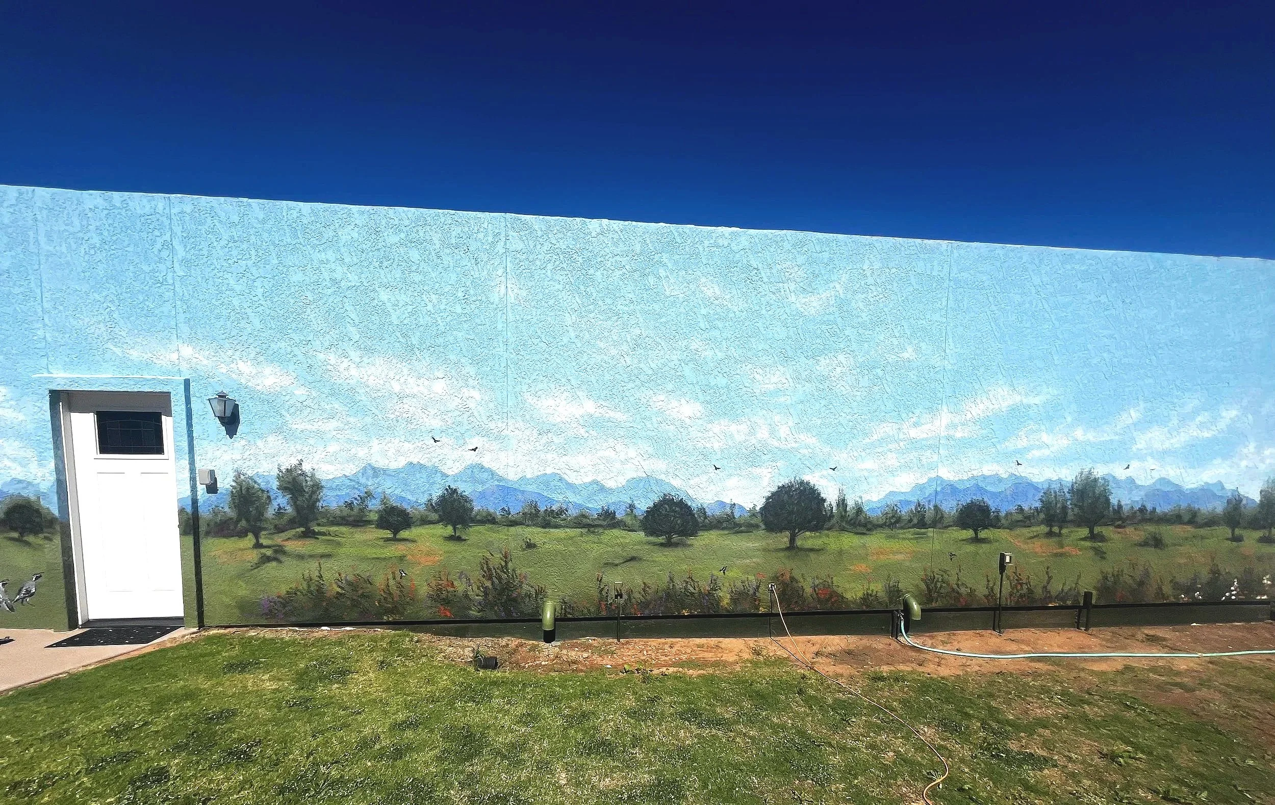 residential-murals-jade-bamford-03.jpg.jpg