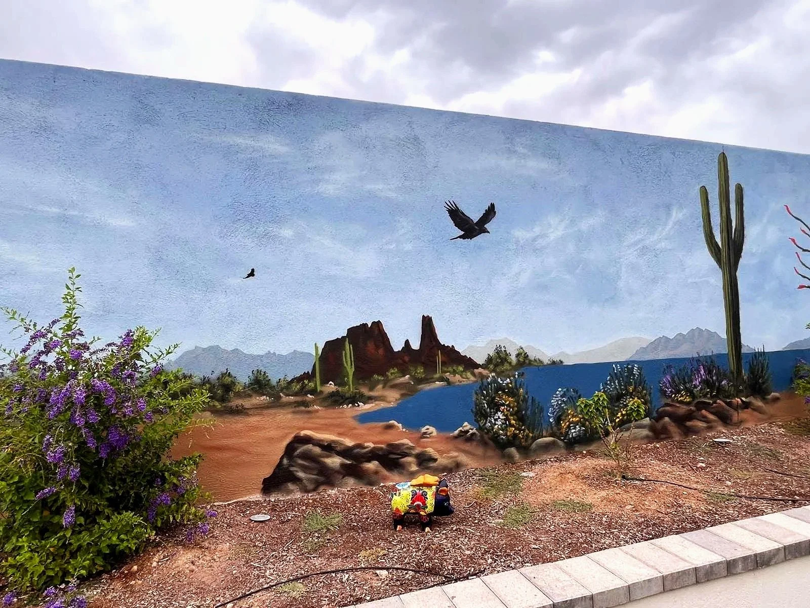 Resident_SunCity_Arizona_3.jpg