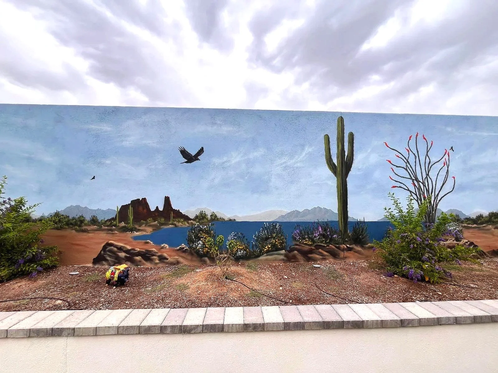Resident_SunCity_Arizona_4.jpg