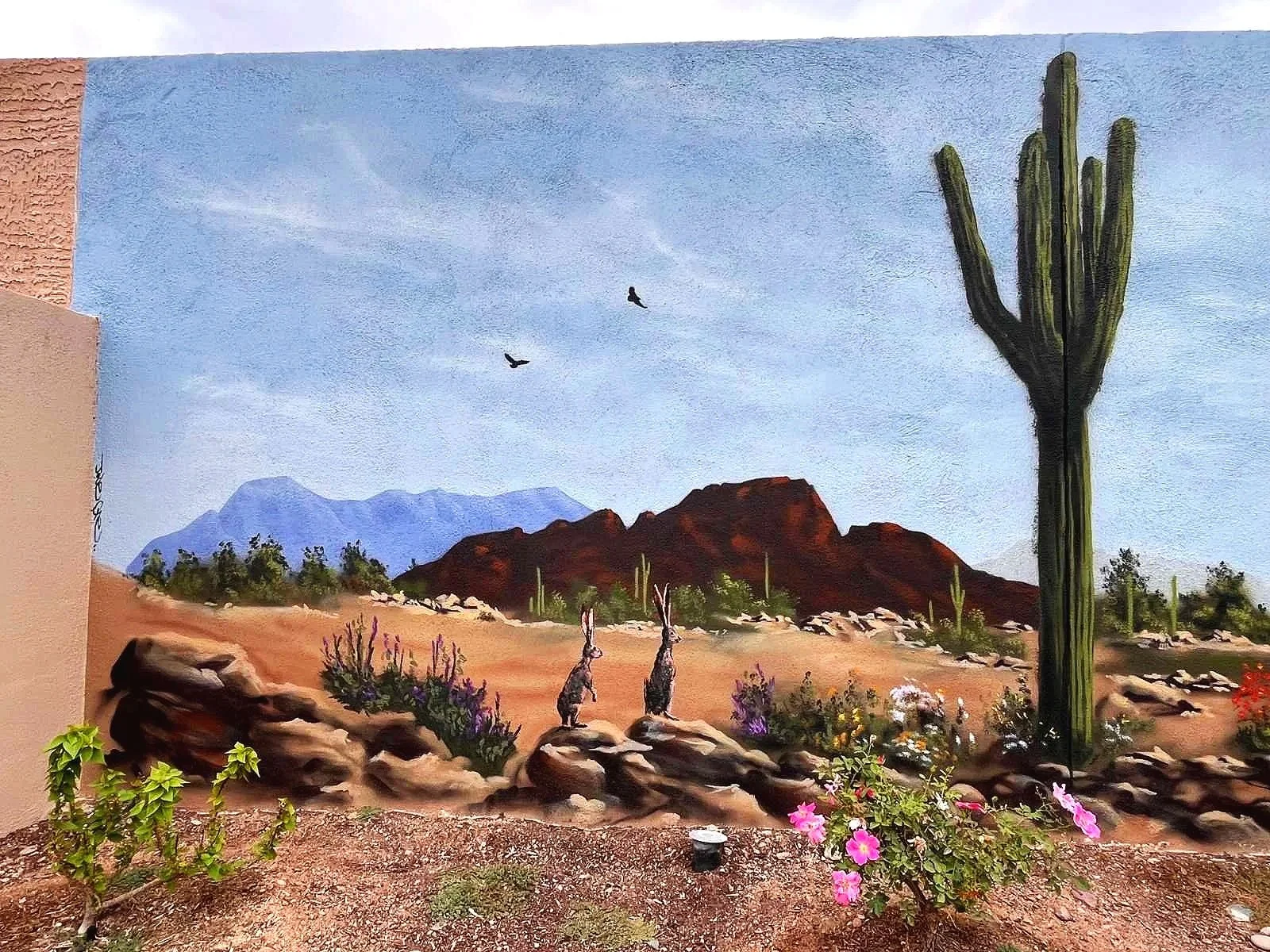 Resident_SunCity_Arizona_1.jpg