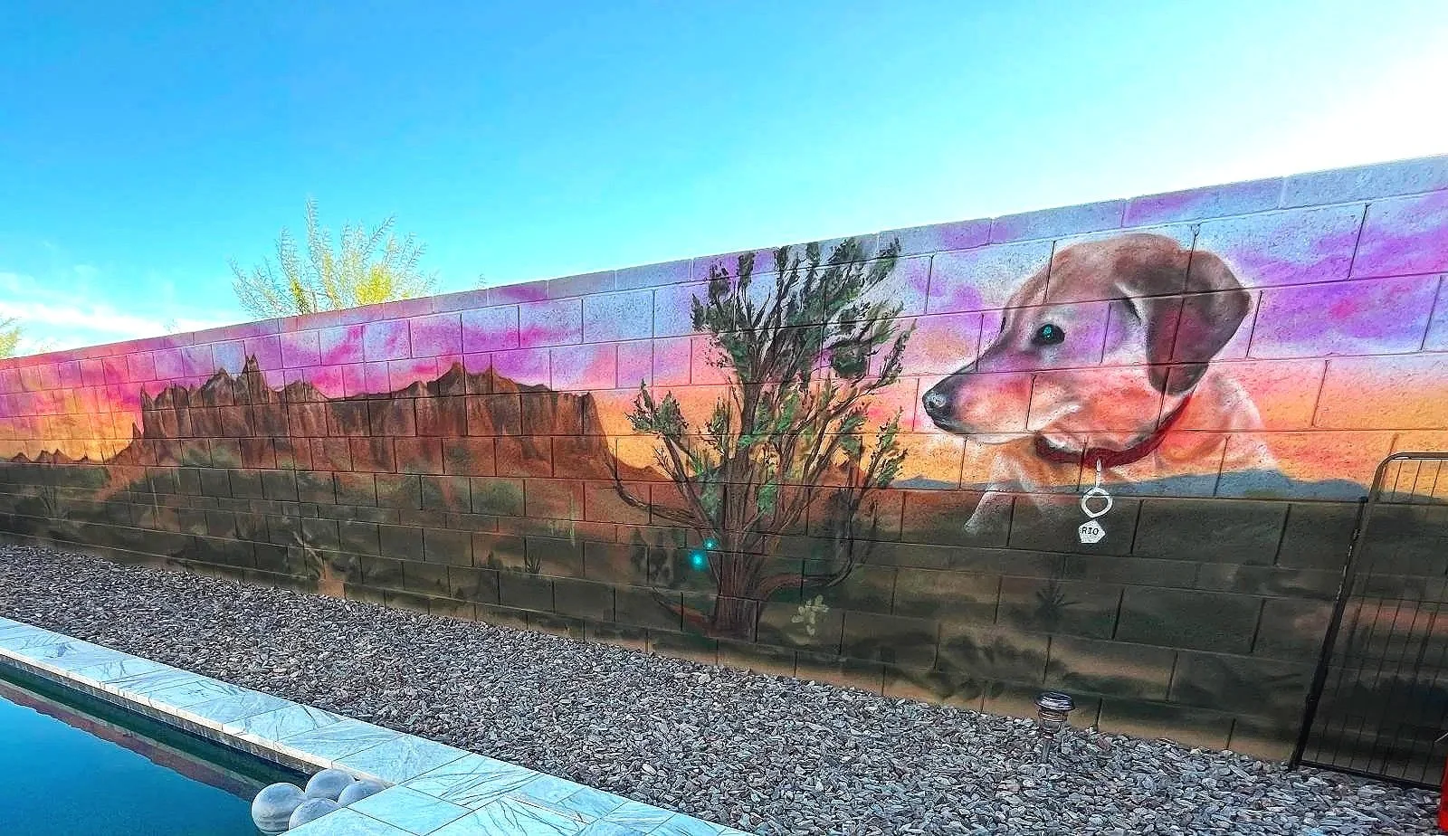 Custom mural portfolio by Arizona mural artist Jade Bamford featuring residential, commercial, Airbnb, and public murals.