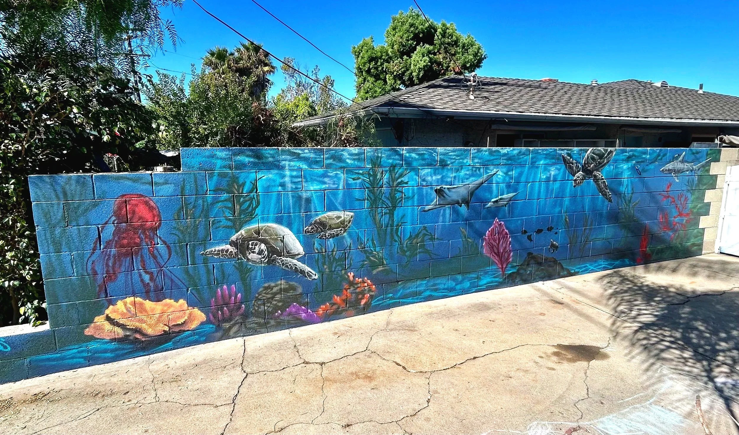 A colorful mural painted on a brick wall depicts an underwater scene with various sea creatures including turtles, jellyfish, and fish, along with coral and aquatic plants, against a blue water background.
