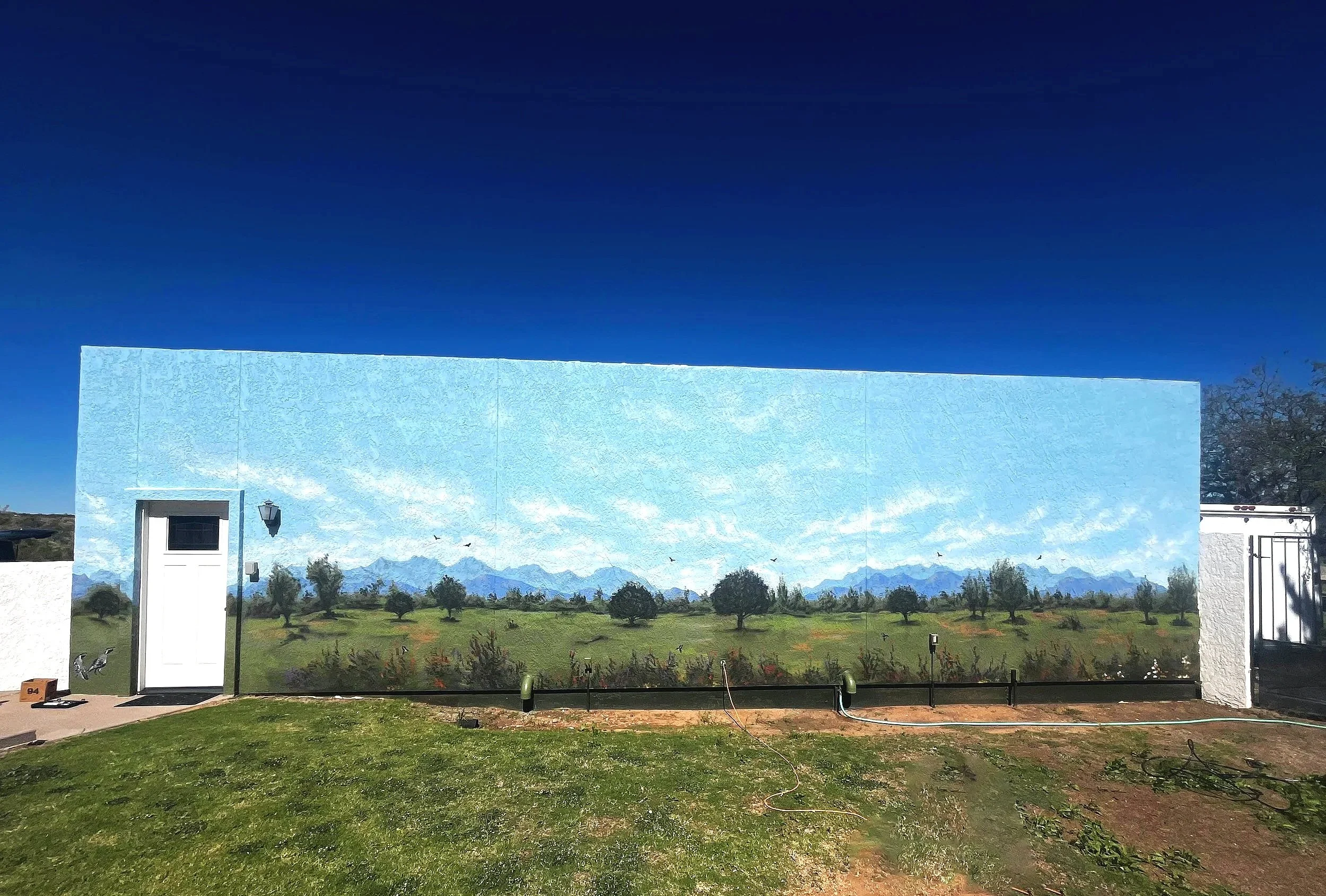 Residential exterior mural in Hereford, AZ by Jade Bamford featuring green grass, trees, mountains, and a blue sky.