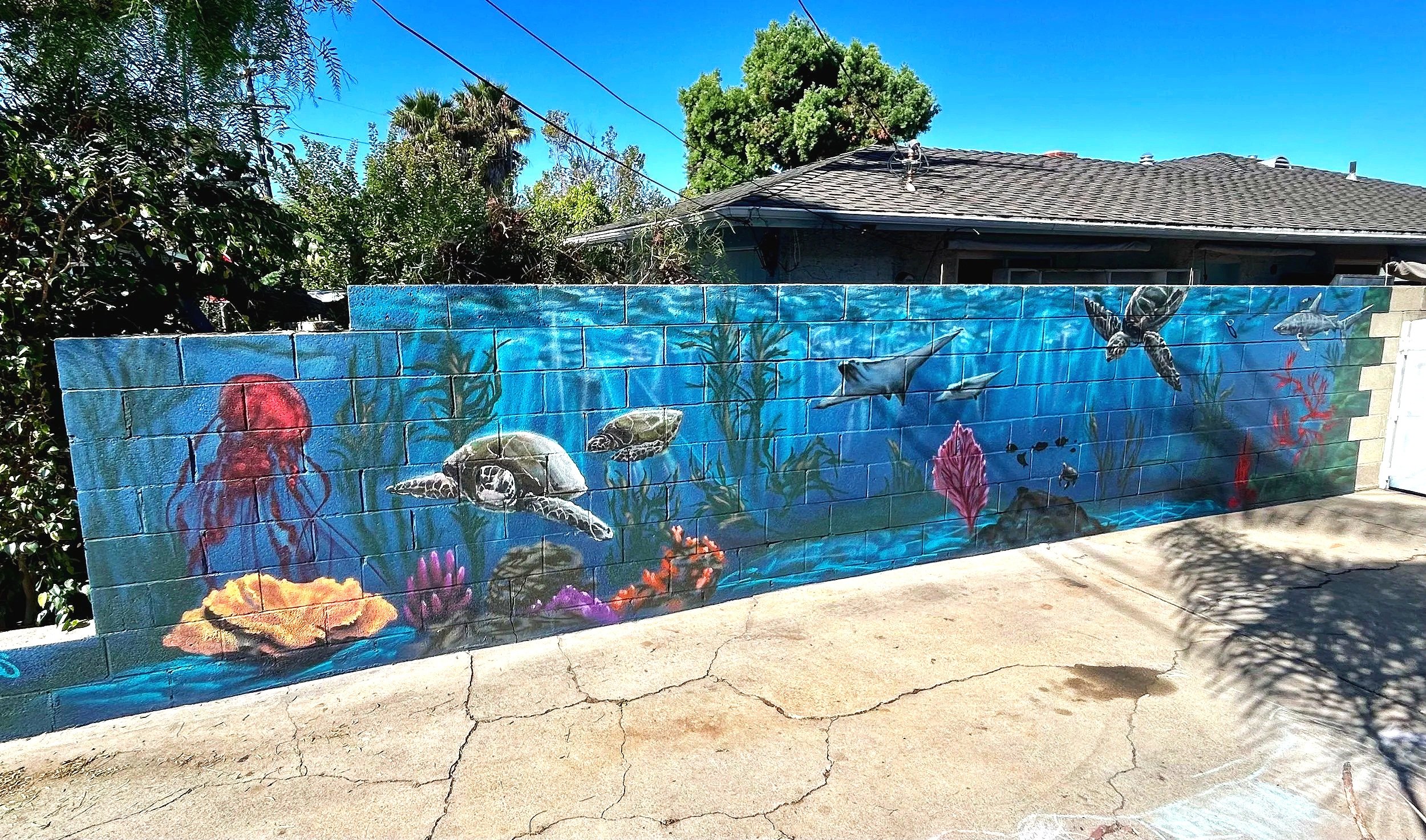Custom residential wall mural on a home in San Clemente by Jade Bamford Murals