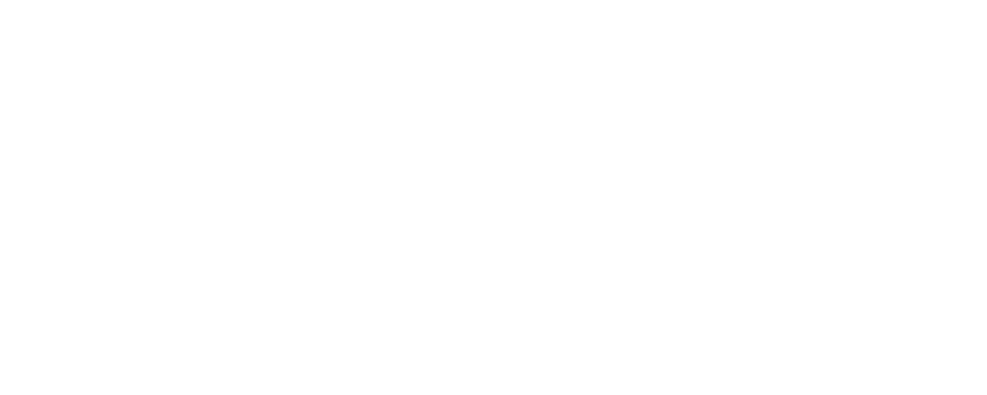 Logo di Sushi Flow con un'onda stilizzata sopra le parole 'Sushi Flow'