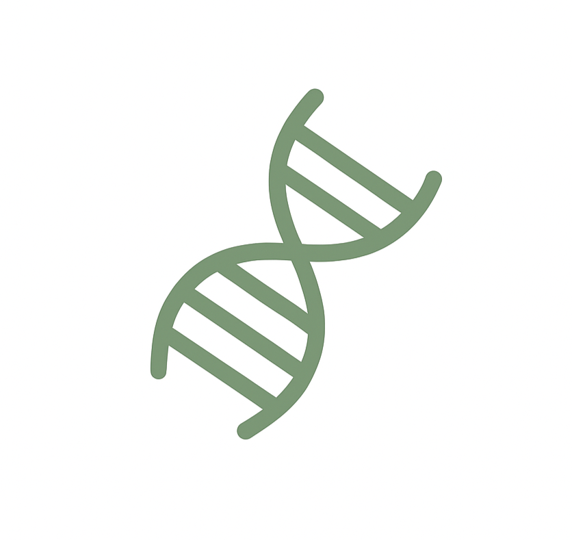 What Is the myDNA Comprehensive Health Report — And Is It Worth It?