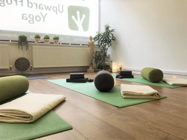 Yoga mats, bolsters, meditation cushions, blocks, and blankets set up in a tranquil yoga studio with natural decor and soft lighting.
