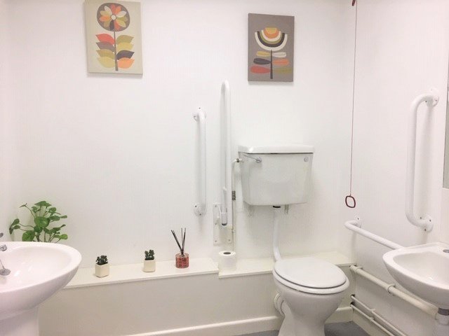 Accessible bathroom with white walls, a toilet with support rails, decorative floral art on the wall, a sink, and small potted plants on a shelf.