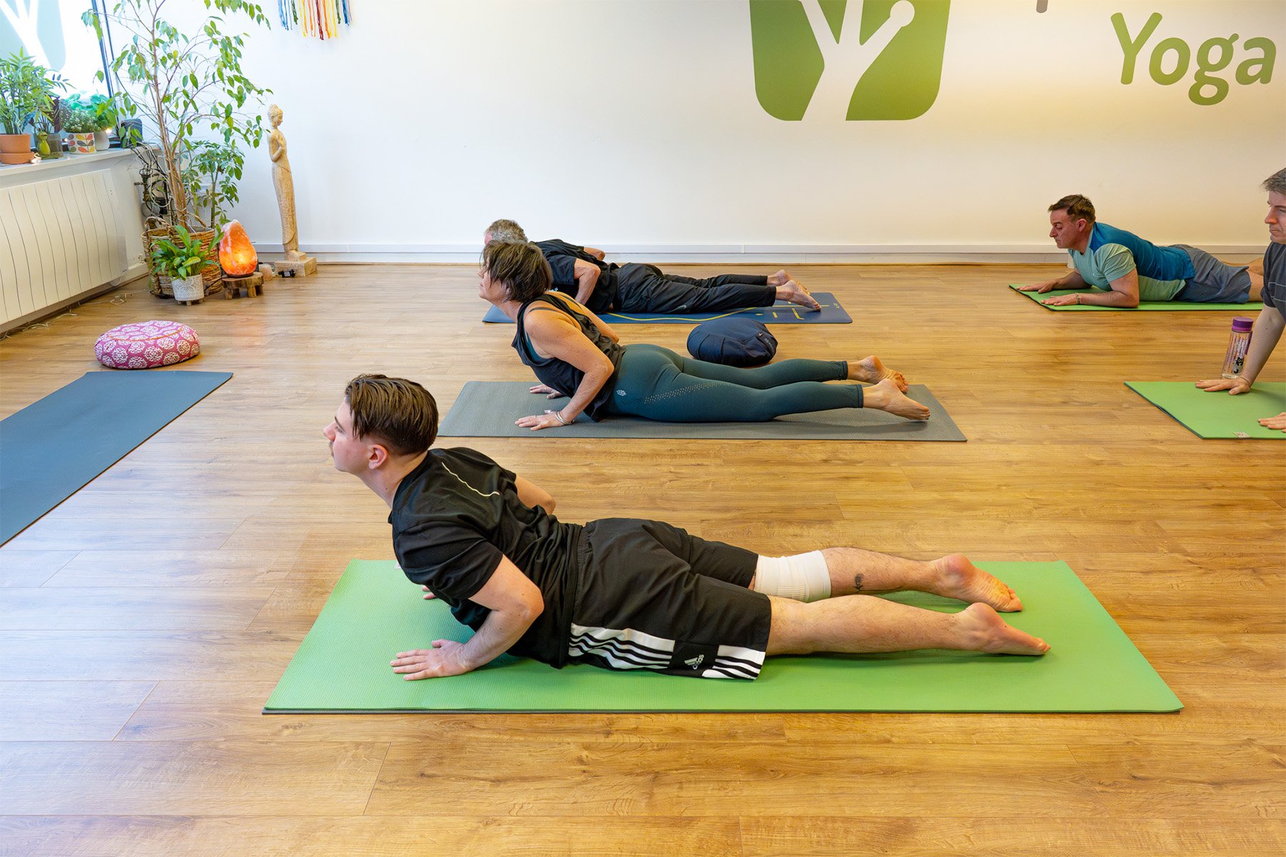 People practicing yoga in a studio, performing cobra pose on yoga mats, with plants and a salt lamp on a windowsill, and wall art including a yoga logo.